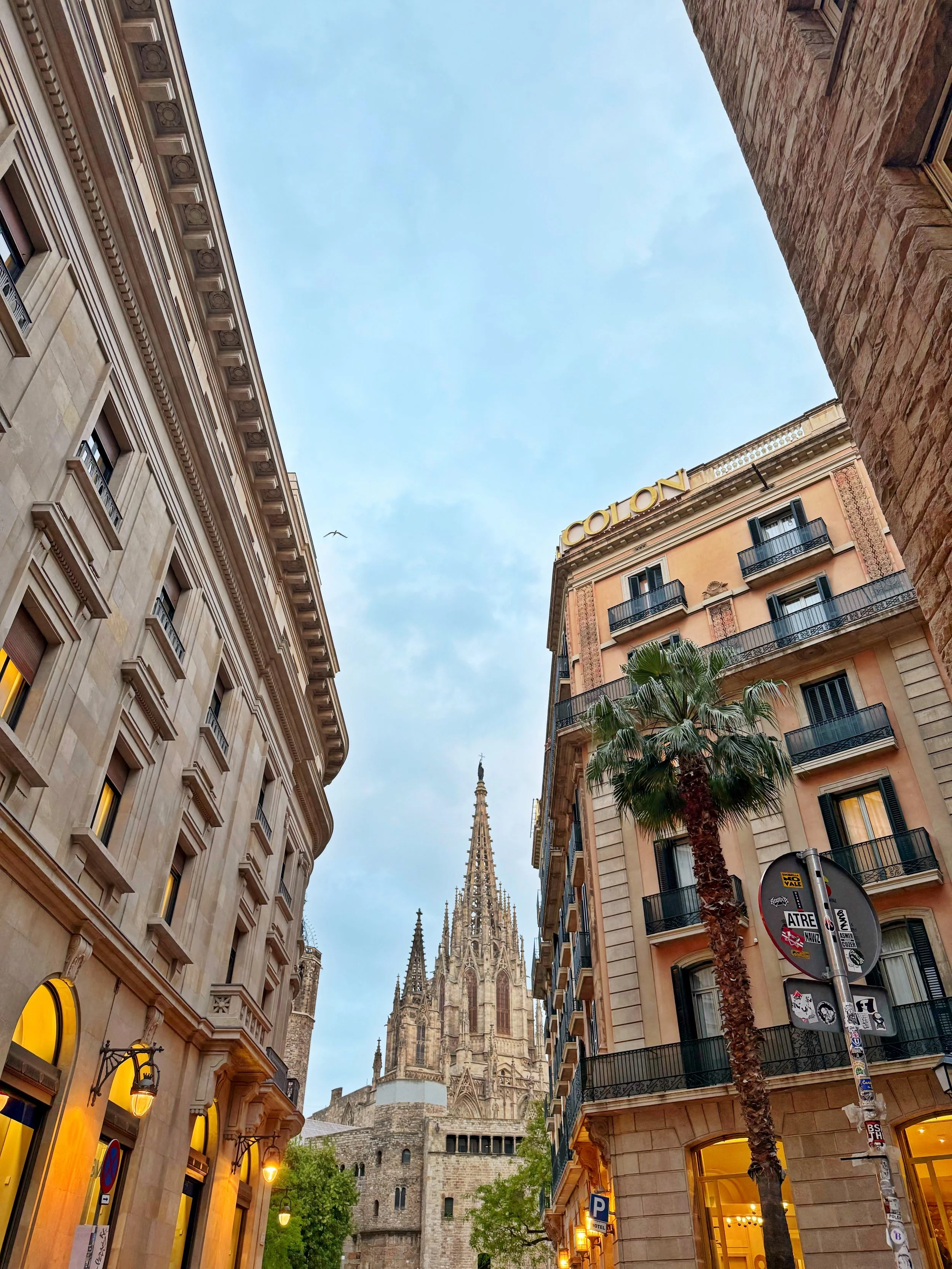 2025-05-22 14.02.58.jpg