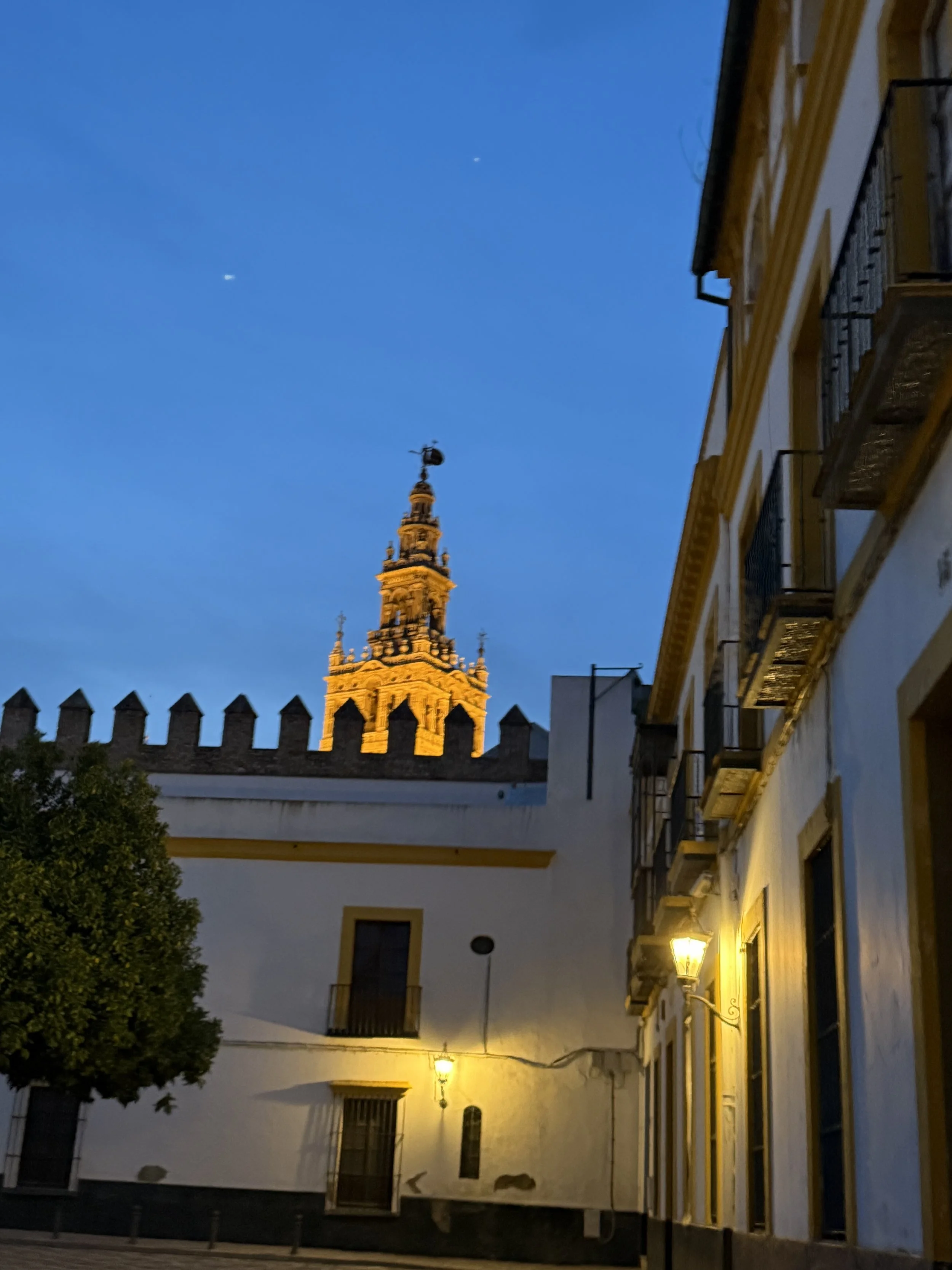 2025-06-01 15.01.19.jpg