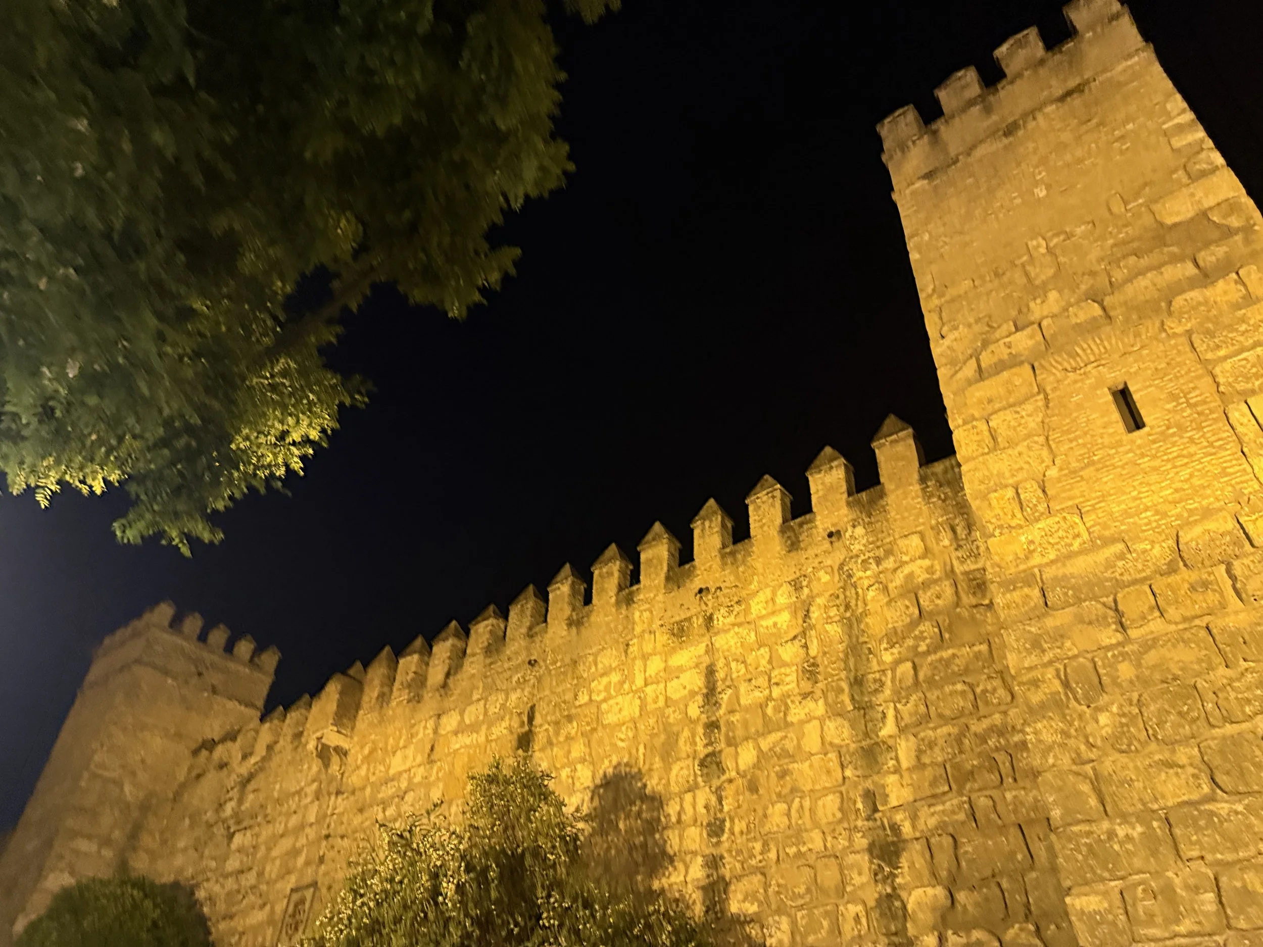 2025-05-31 17.22.53.jpg