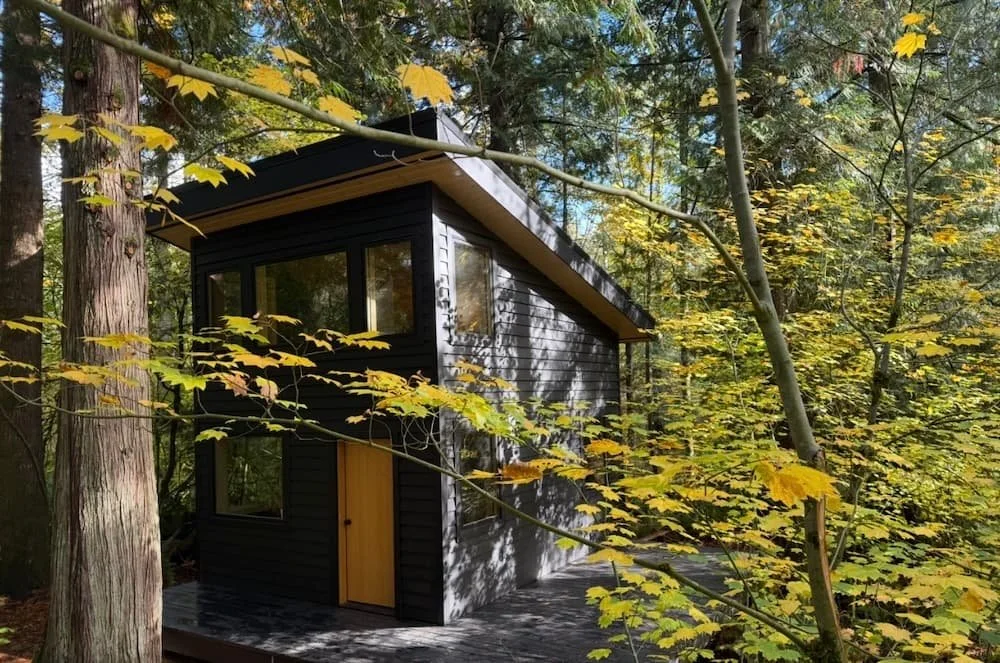 Black cedar ADU (cabin) with a black deck in the fall sun in the forest in Bellingham