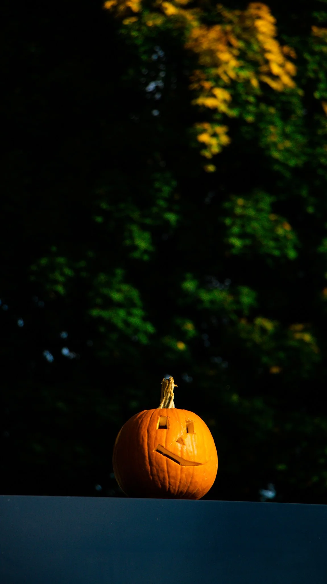 IMG_9982.jpg