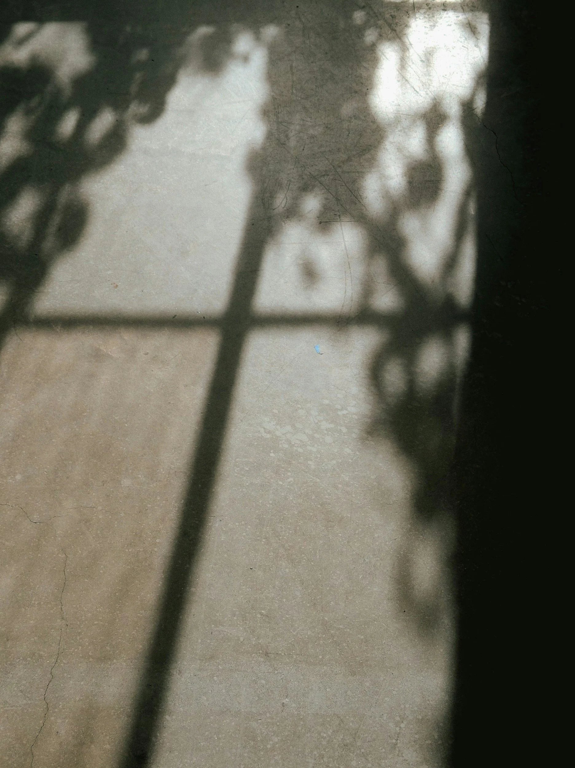 Shadow of a fence and plants cast on a concrete floor with some cracks.