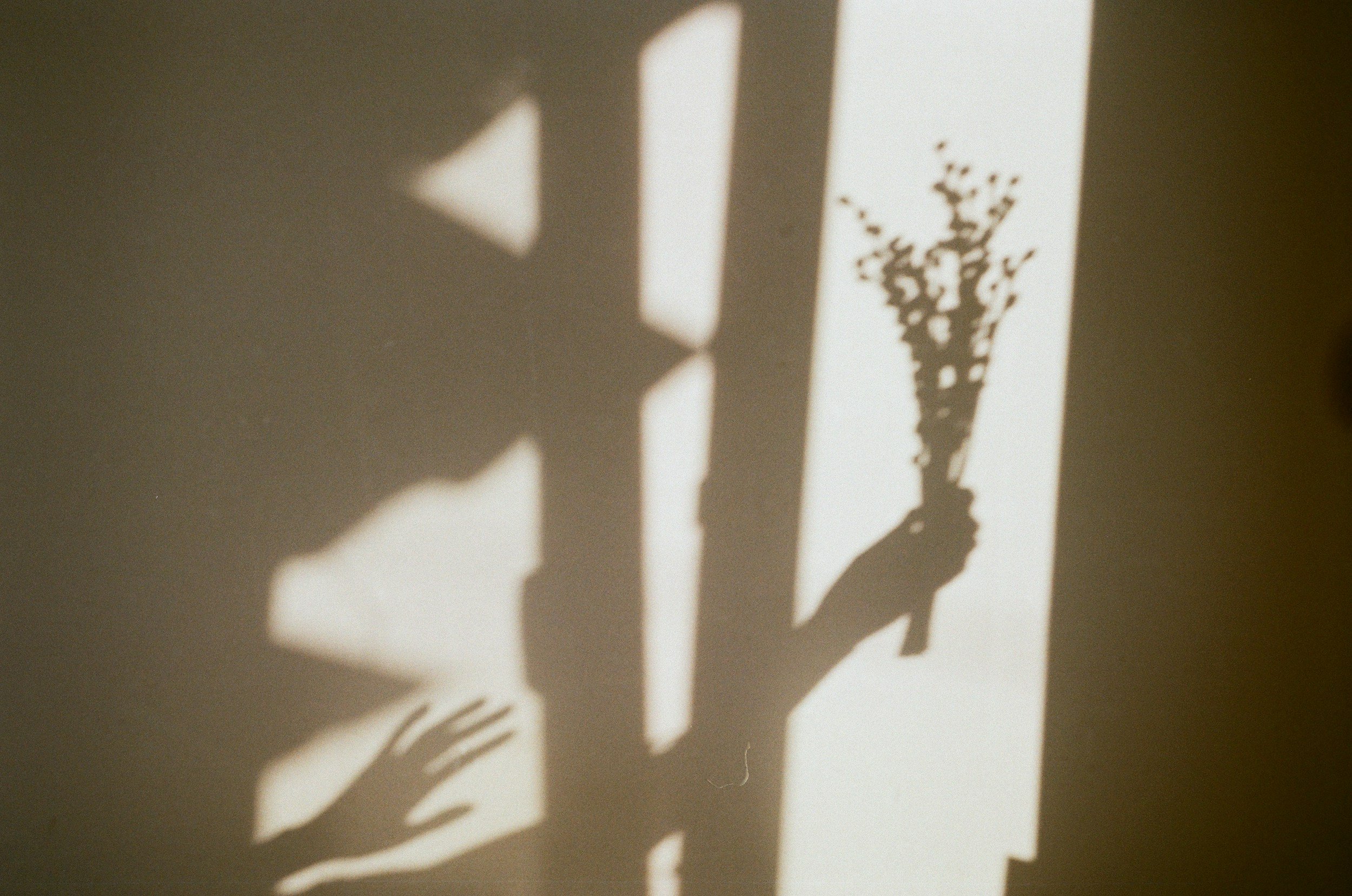 Shadow of a hand holding a vase of flowers cast on a wall through window blinds.