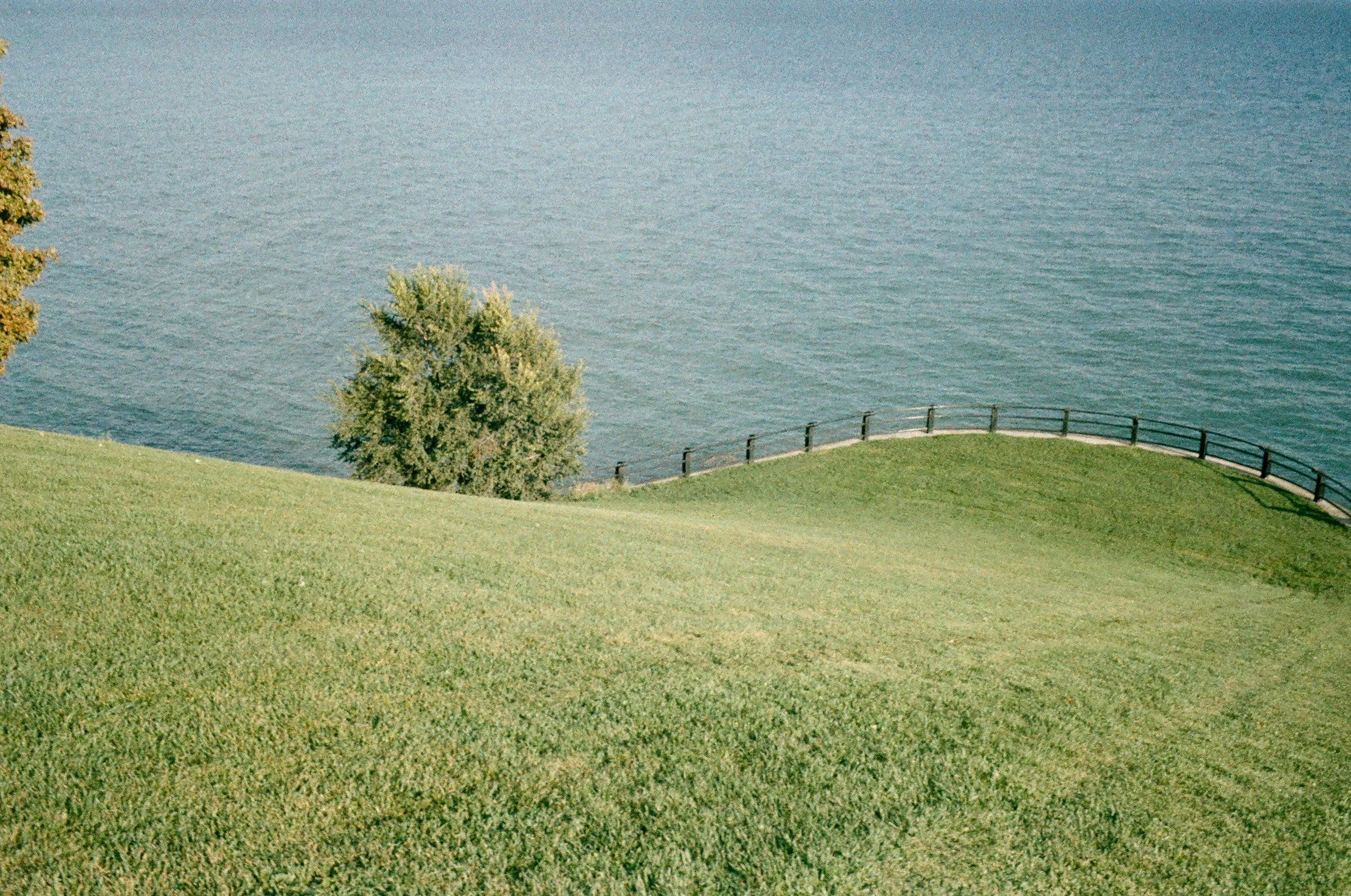 A green grassy hill slopes down to a body of water, with a tree and a fenced pathway.