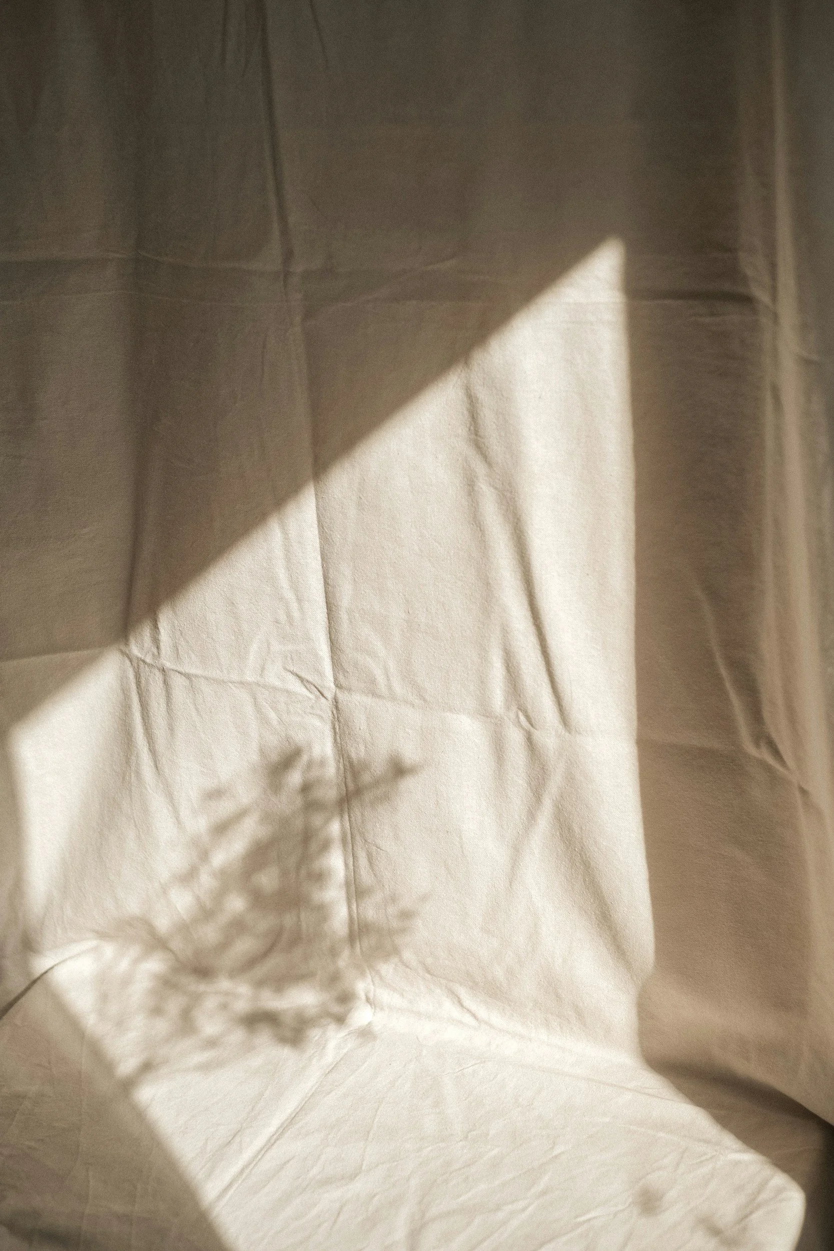 Light beige fabric backdrop with shadows cast by an object or plant, creating a triangular shadow and a silhouette of leaves.