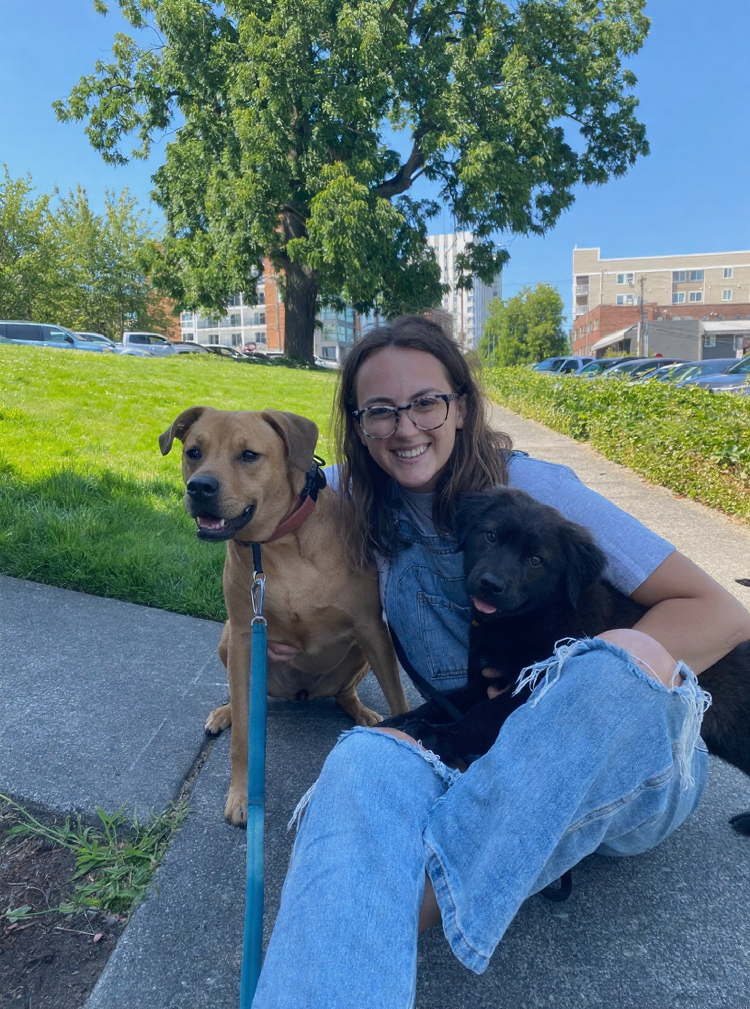 A smiling woman with glasses sitting on the sidewalk, holding a brown dog and a black puppy, with a large tree and city buildings in the background on a bright, sunny day.