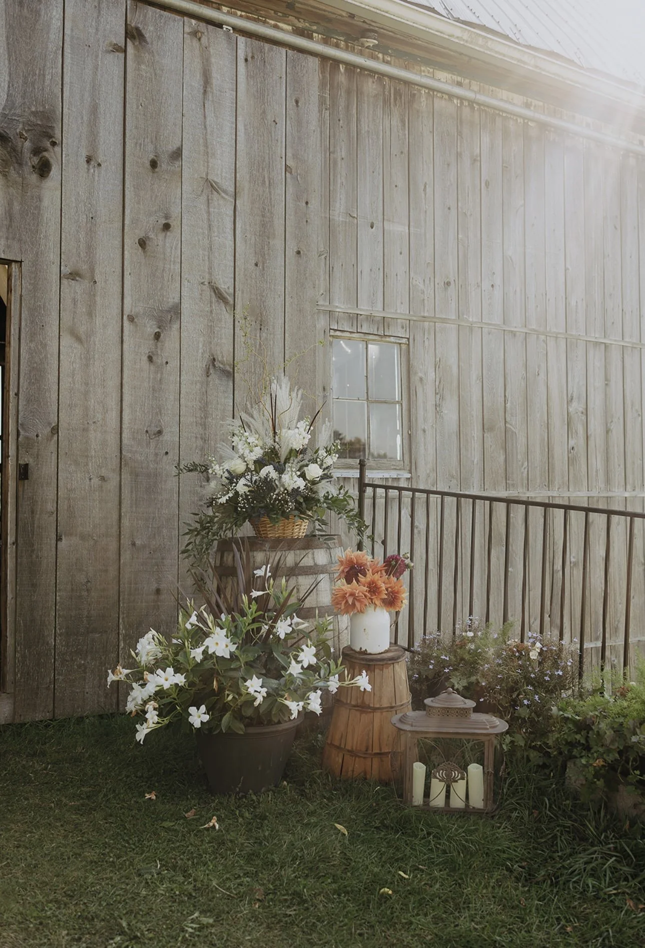 Decorative flowers in vases and pots placed outdoors on a grassy area beside a rustic wooden wall, with a small window and sunlight overhead.