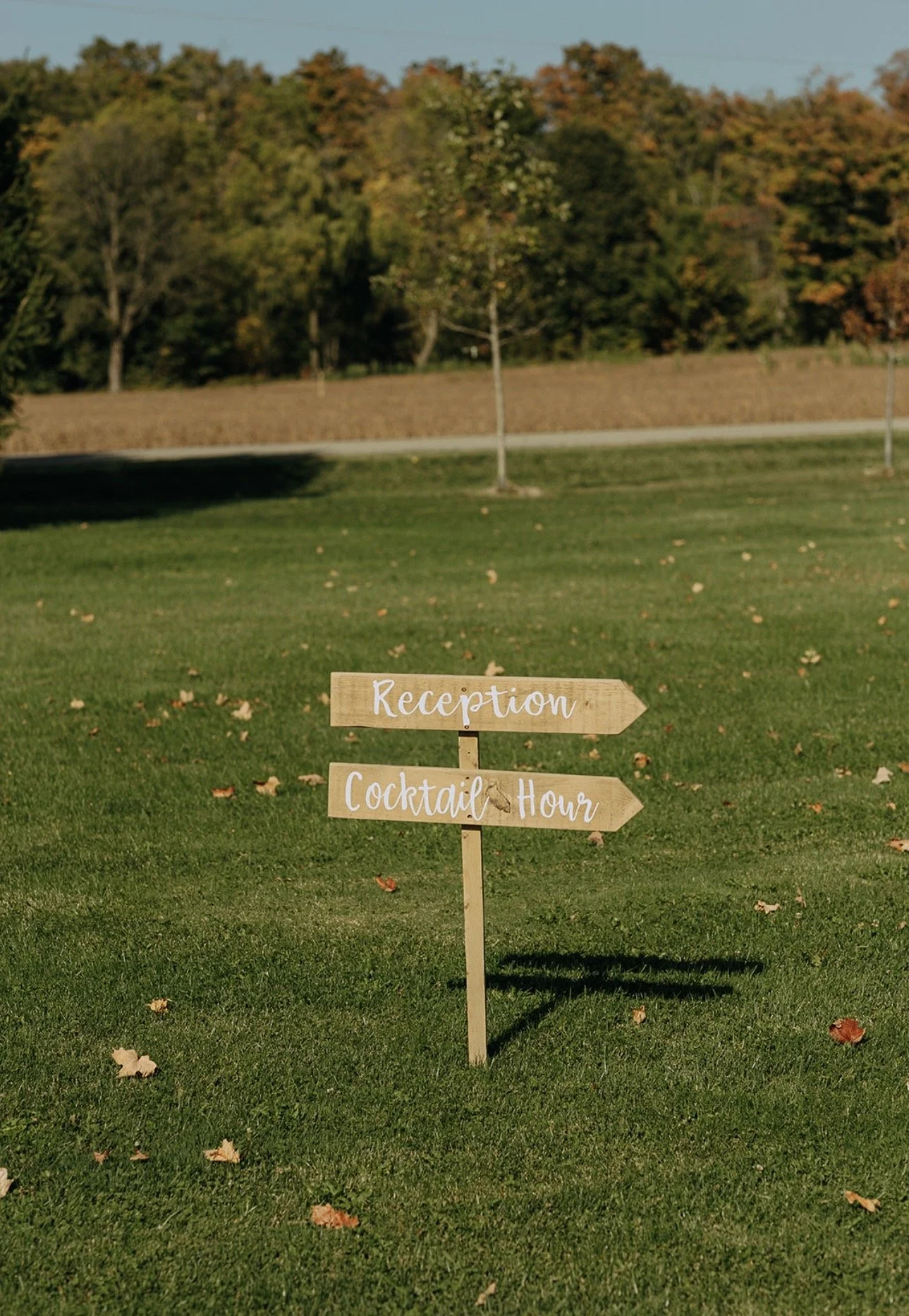 Photos by Meg Schuurman Photography 