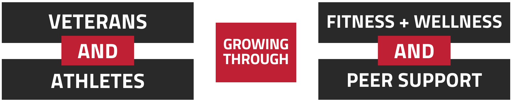 Diagram showing the growing connection between veterans and athletes with fitness and wellness peer support.