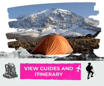 Orange tent set up on snow-covered ground with a snow-capped mountain in the background.