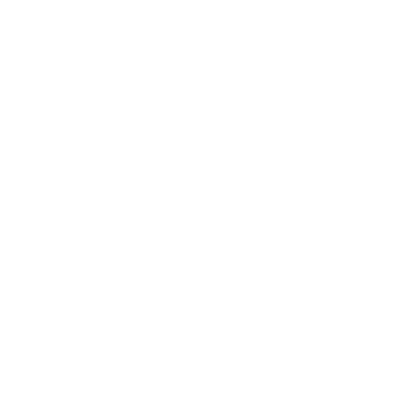 4Skydive-Orange.png