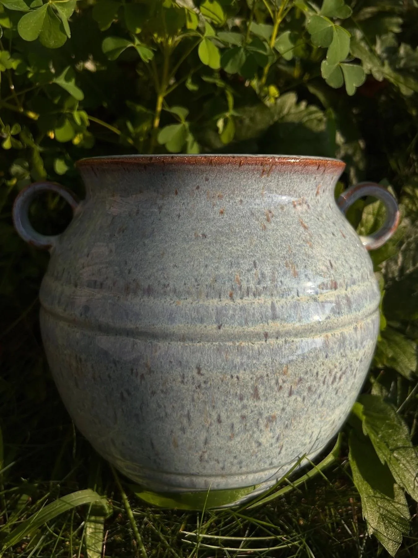 An electric-fired ceramic vessel with a rounded body and two small handles, placed outdoors among green leaves and grass.