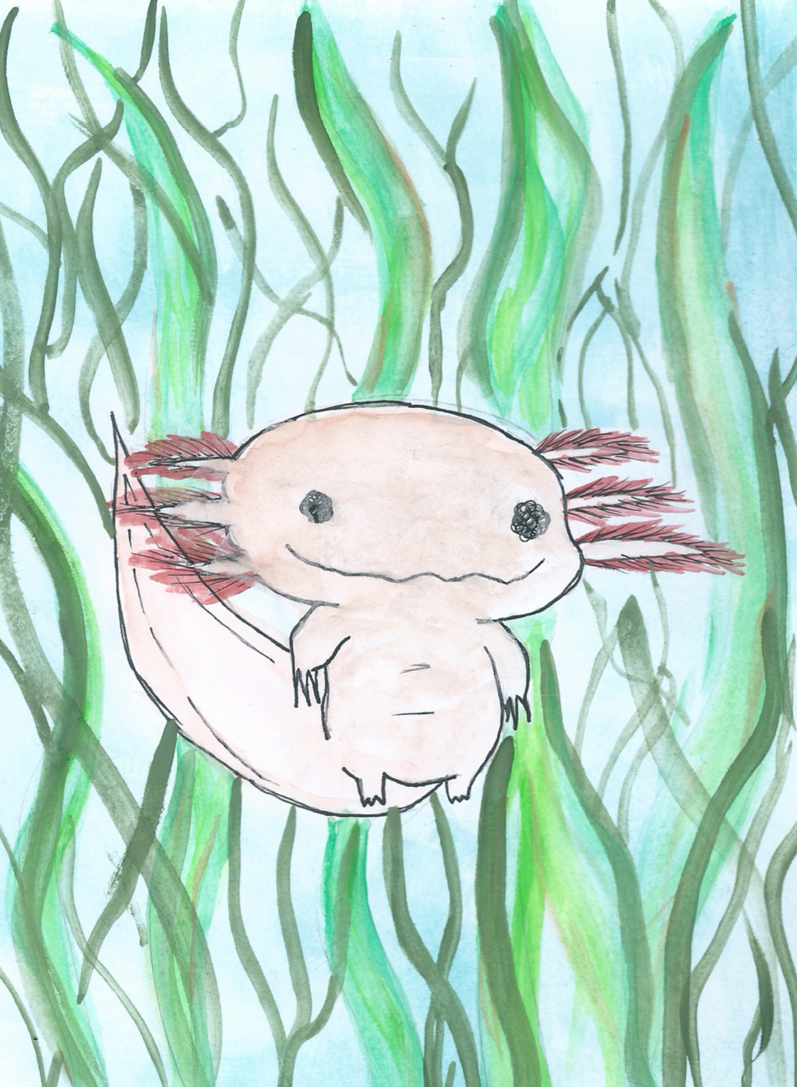 what am i doing here