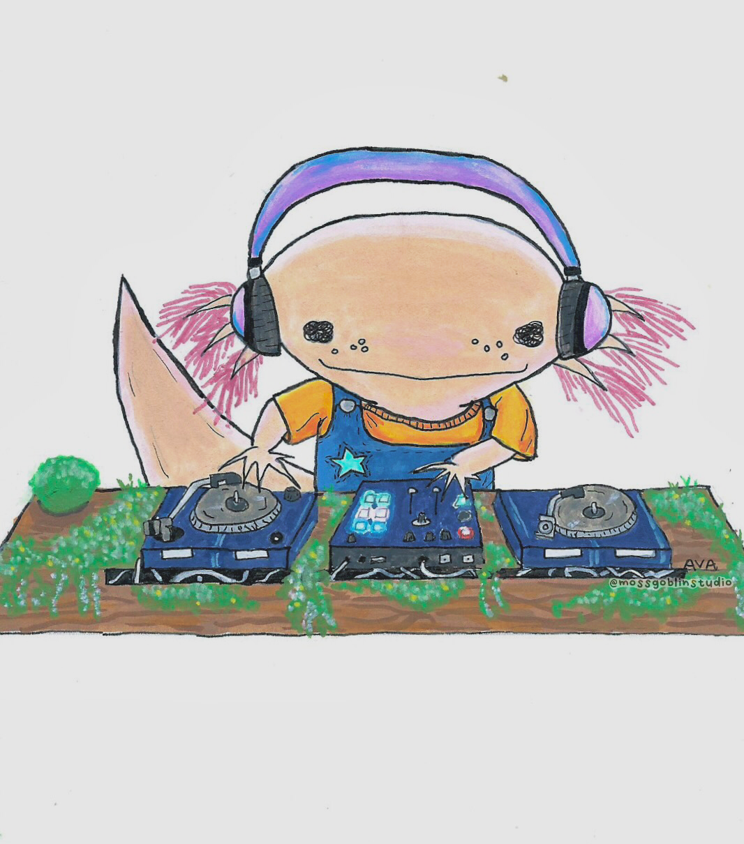 dj axo.
