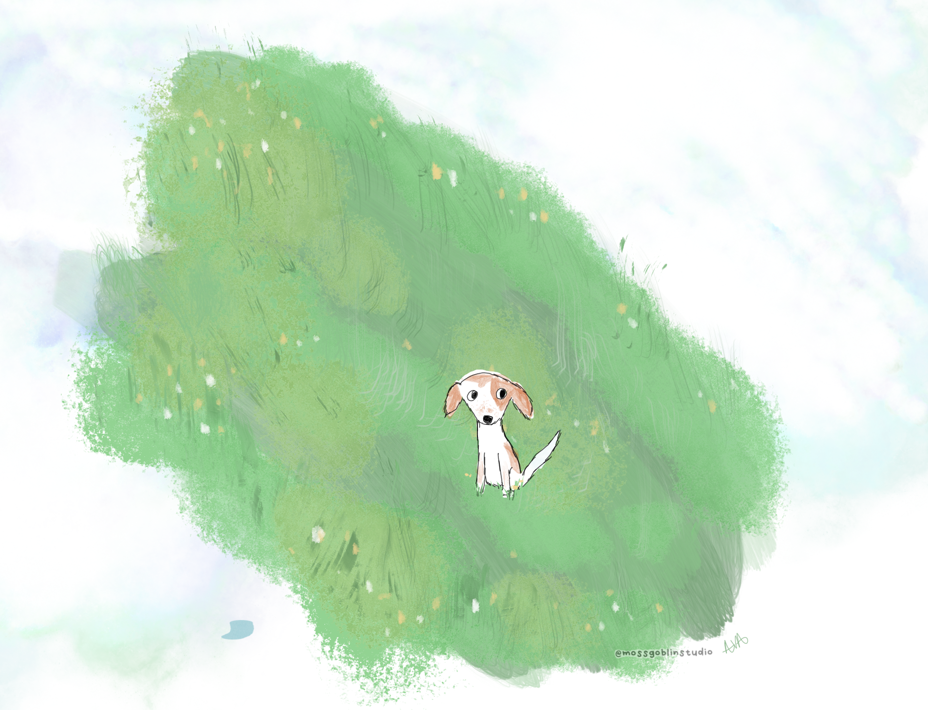 zelda frolicks on her birthday.