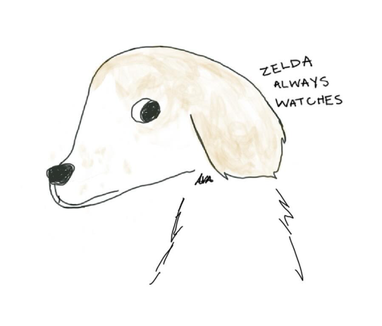 zelda always watches