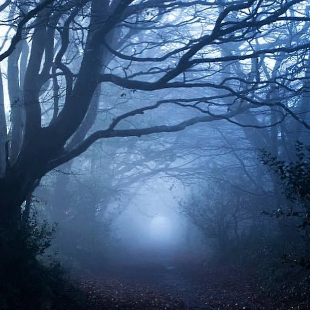 Grey day activity&hellip;
SHOP &lsquo;n SAVE! 
Winter Sale in progress! 

#dressbetterthanyouhaveto &hellip;
for less! 
#shoplocalvb @shopsathilltop 
#shoplocalrva #libbiegrove
#themoreyoubuythemoreyousave ! 🤑