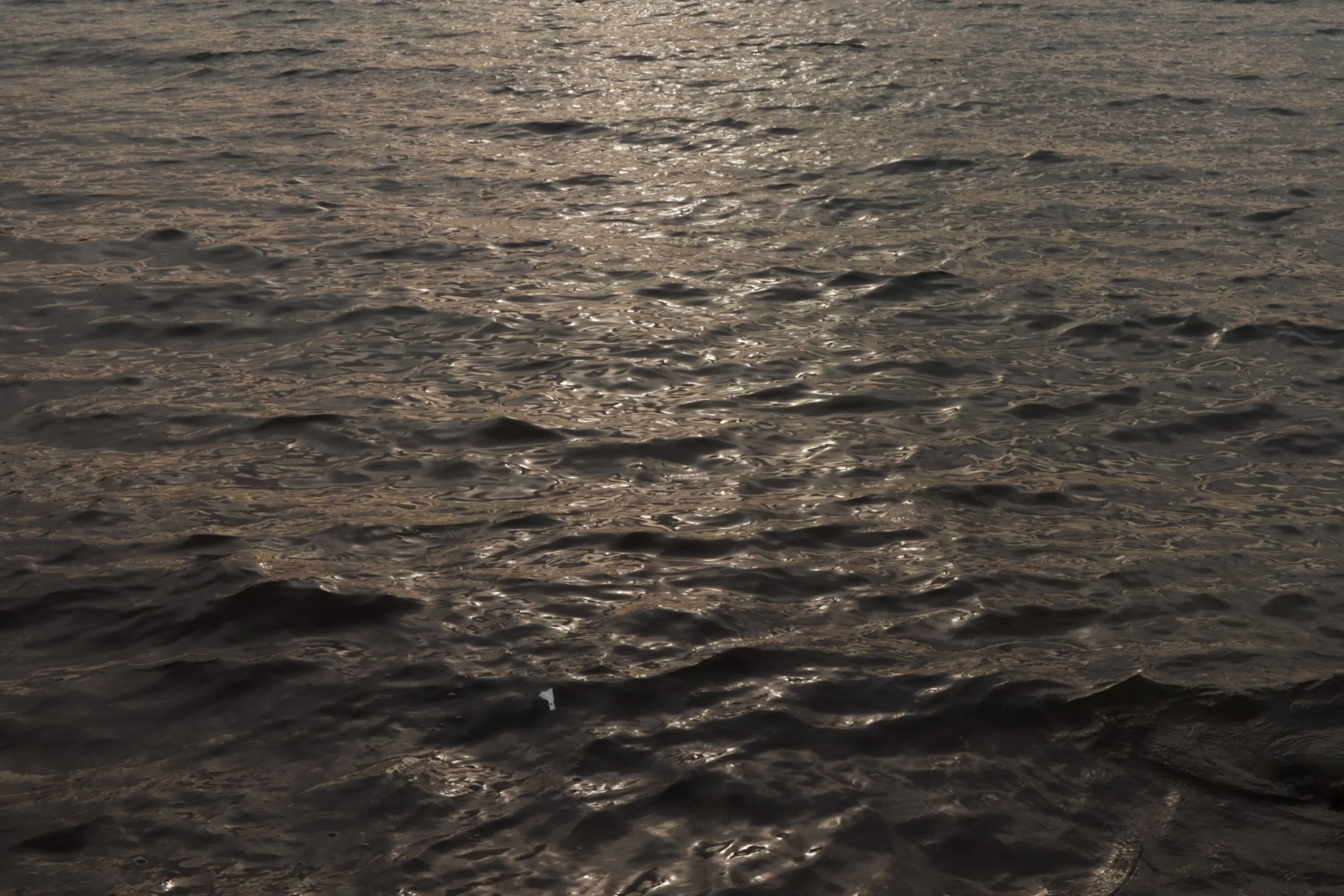 When Twilight Hits the Lemon Tree and the Beach(2024)