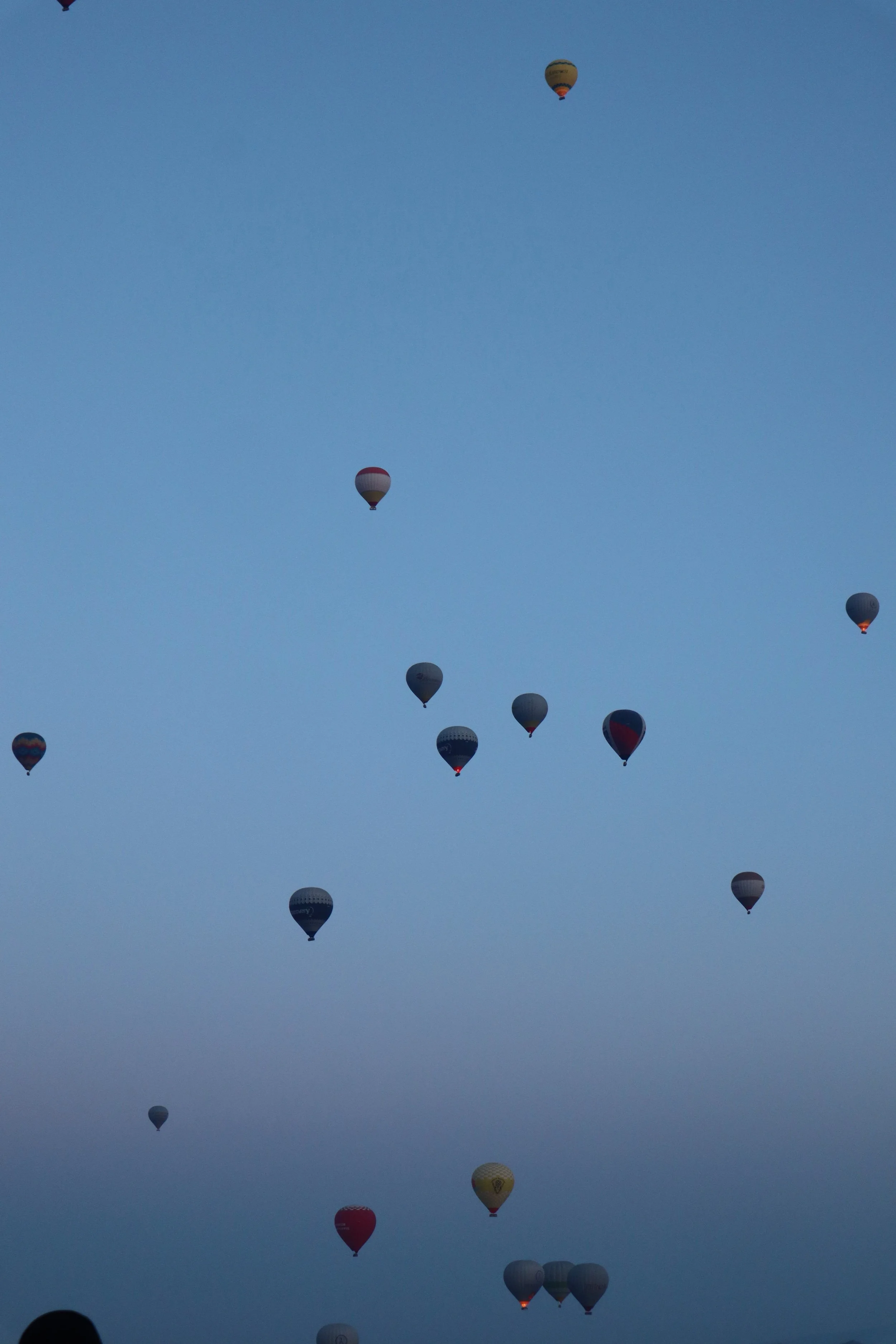 When the Hot Balloons Rose Up(2024)