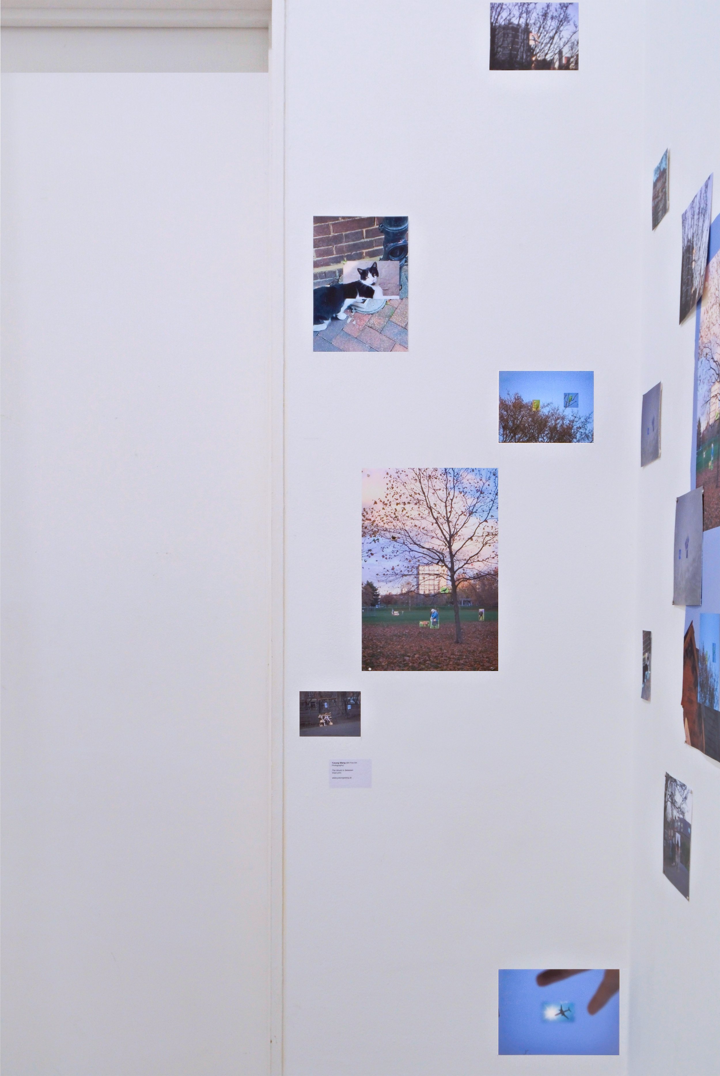 Exhibition detailed look side view.jpg
