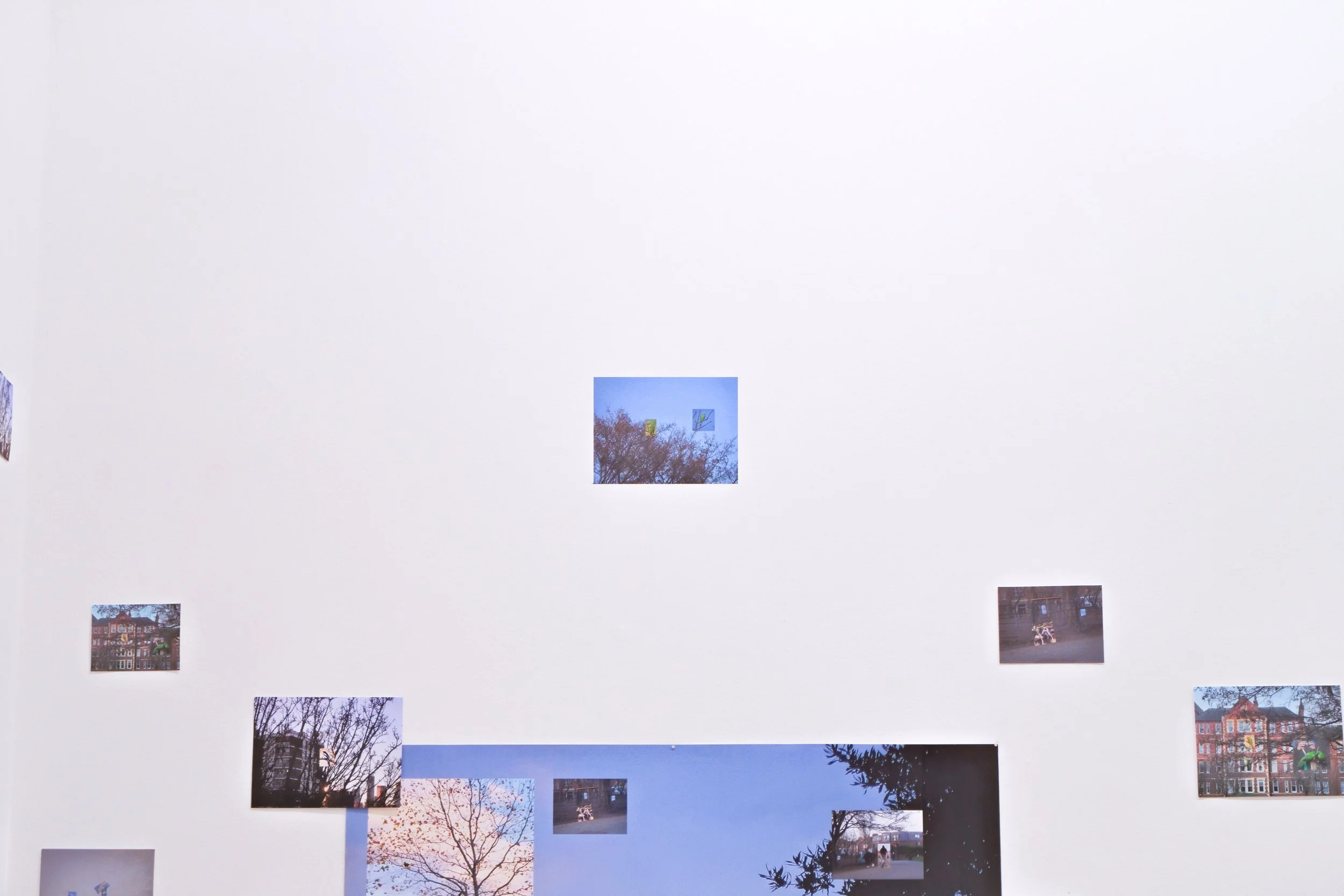 EXHIBITION detailed look.jpg