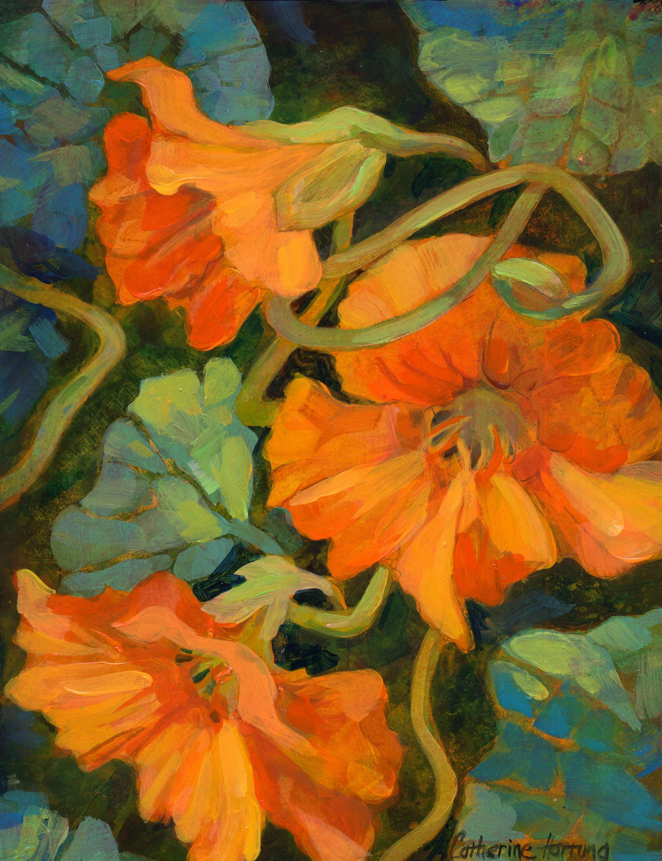 Nasturtium_7.jpg