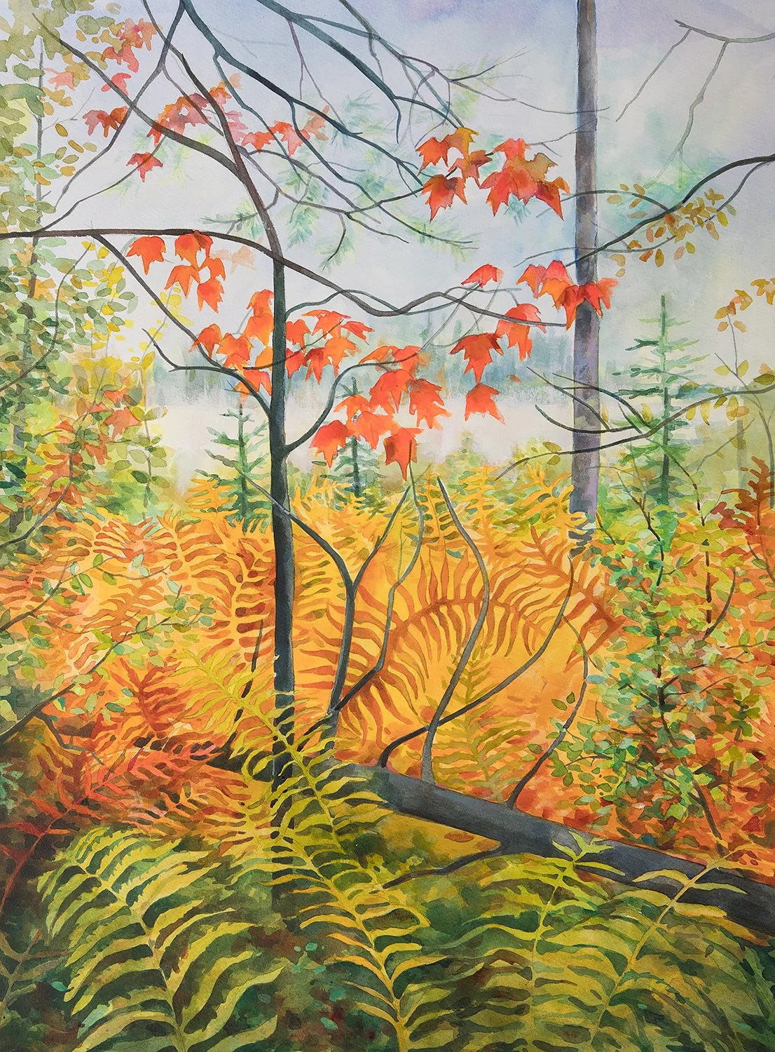 "Heron Marsh Trail - VIC" (Original sold - Limited series 13x19 inch giclee prints available.) 