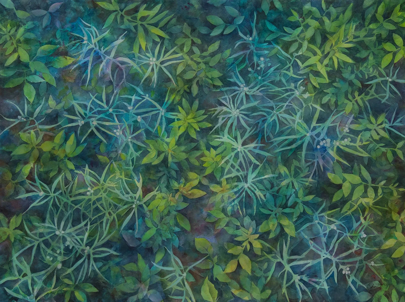 "Pearly Everlastings" (Original painting available, 27 x 35 inch framed size)