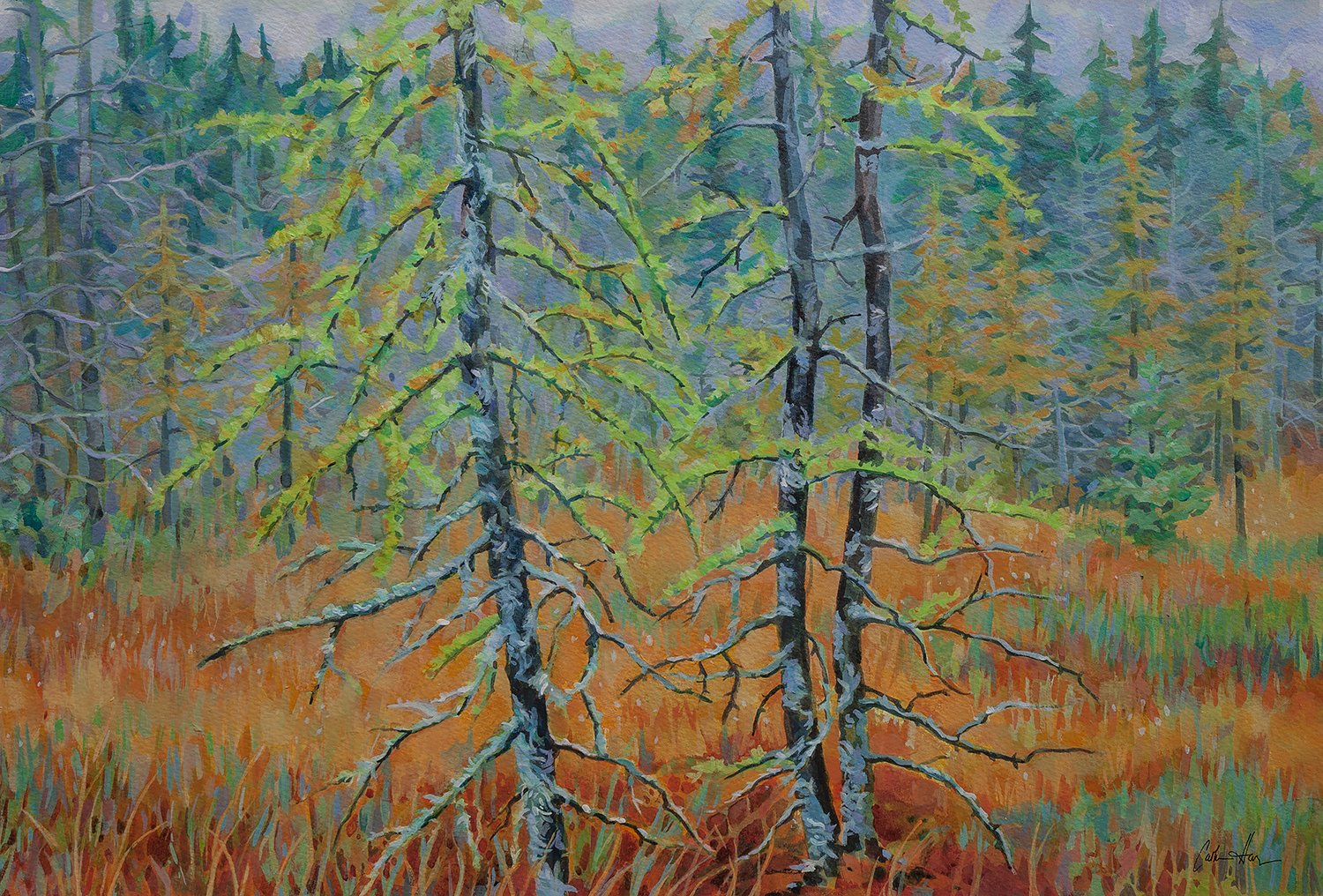 "Fall Bog"  (Original sold - 
Limited series 13x19 inch giclee prints available.) 