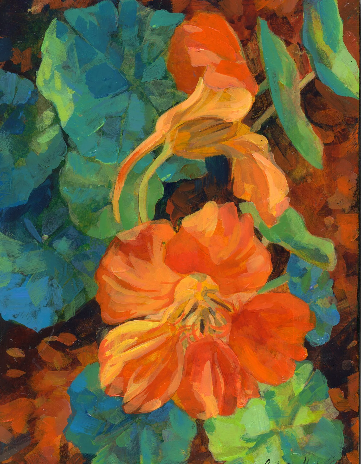 Nasturtium_8px1500.jpg