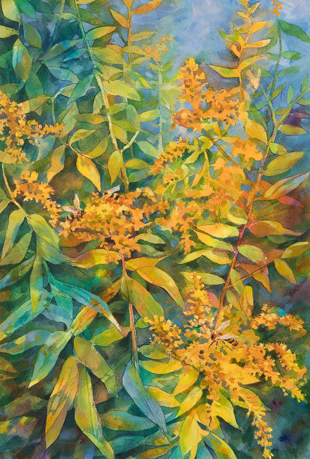 GildedGoldenrod1500.jpg