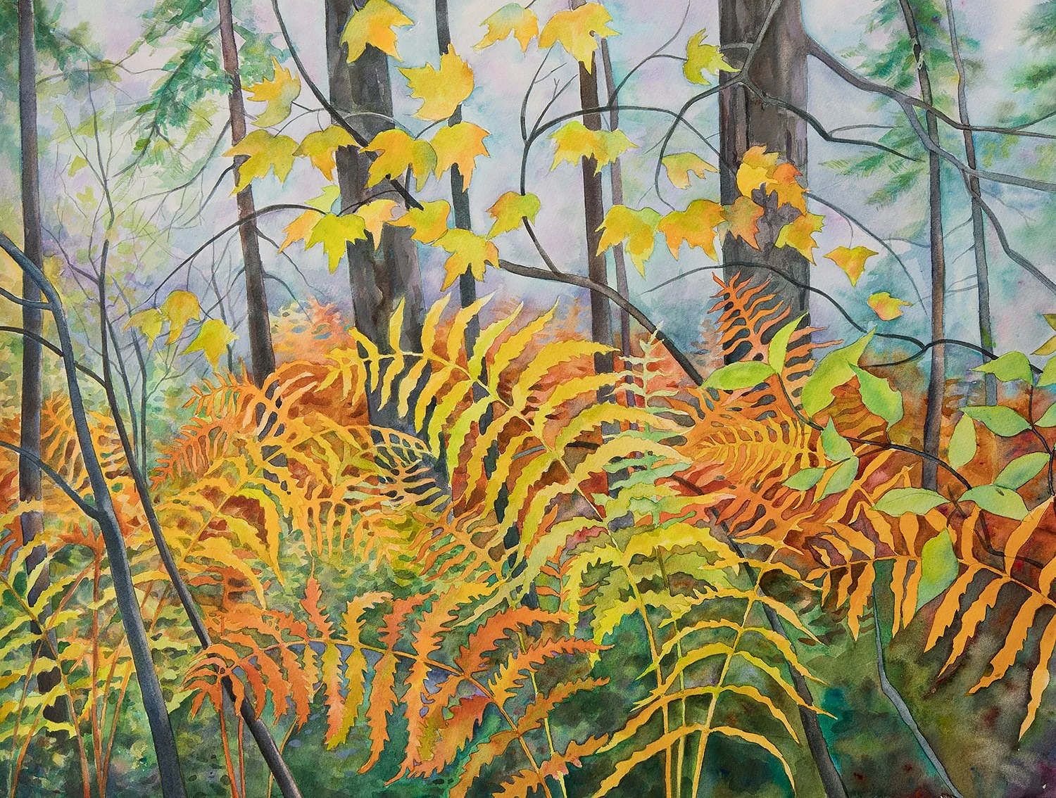 "Ferns at the VIC"  (Original sold - 
Limited series 13x19 inch giclee prints available.) 