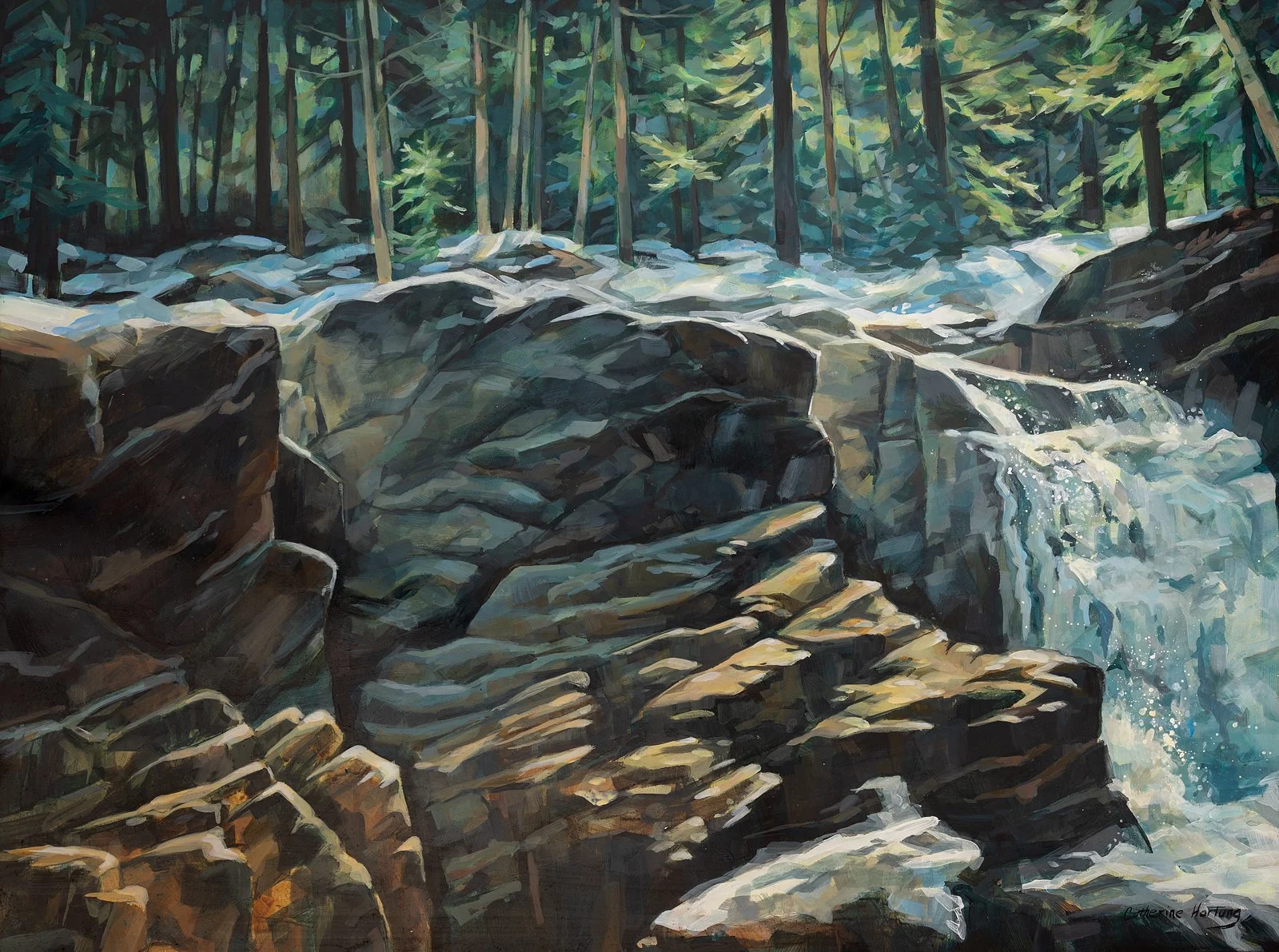 Ice and Snow Melt on the Gills Brook Trail