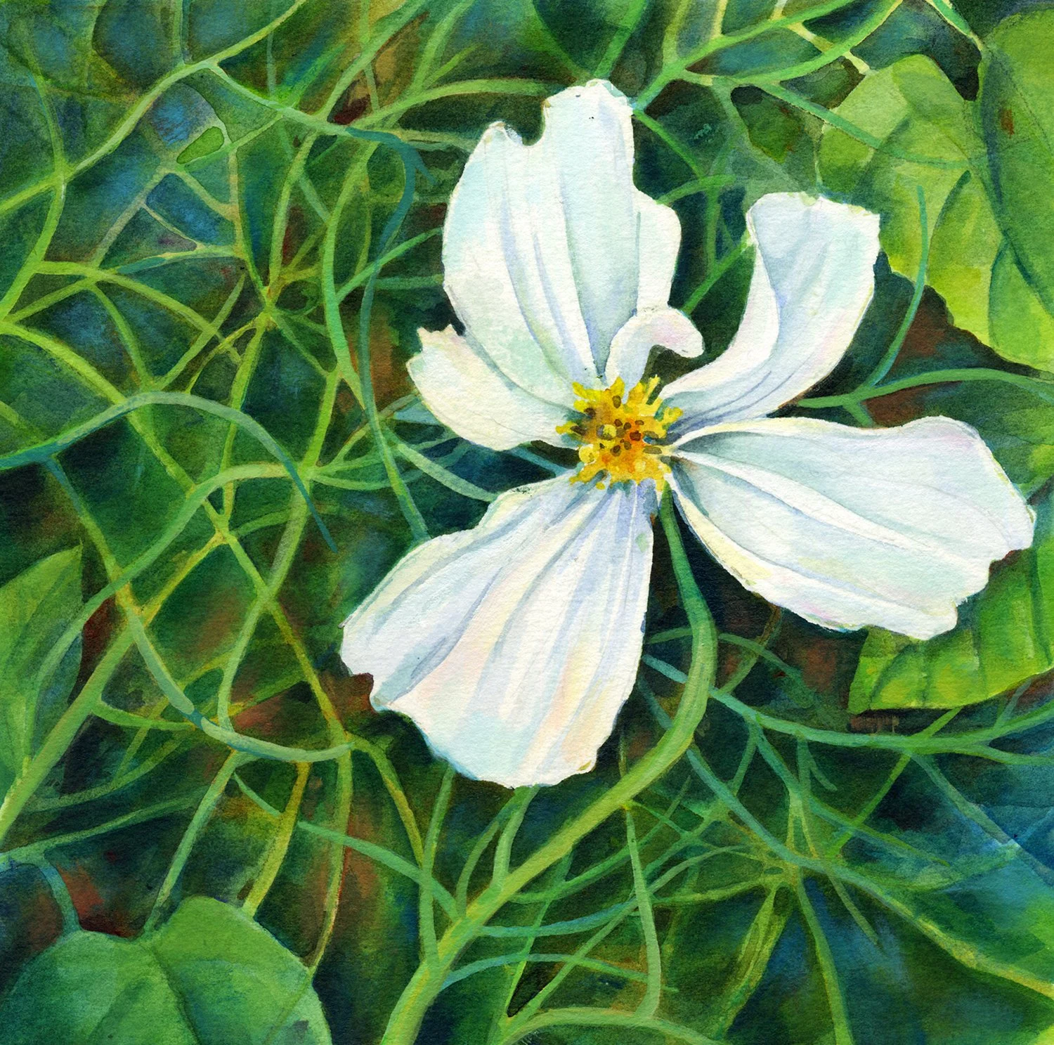 "Tangled Cosmos"(Original sold - 10x10 inch prints available)