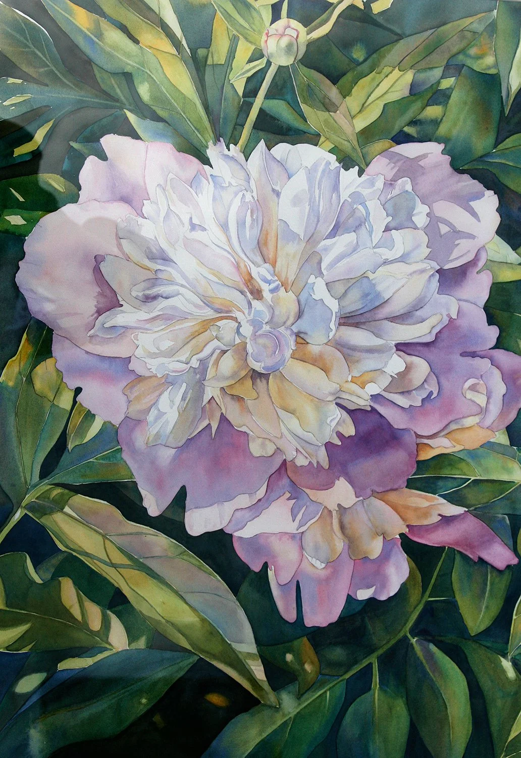 "Peony" (Original sold - 13x19 inch Giclee prints available)