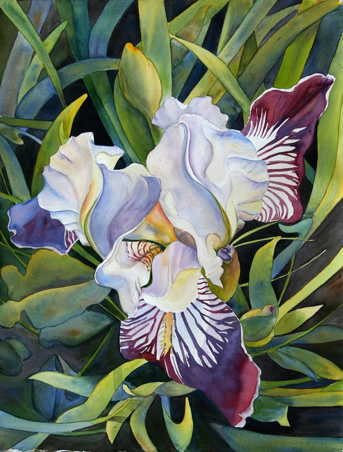 "Farm Iris" (Original sold - 13x19 inch Giclee prints available)