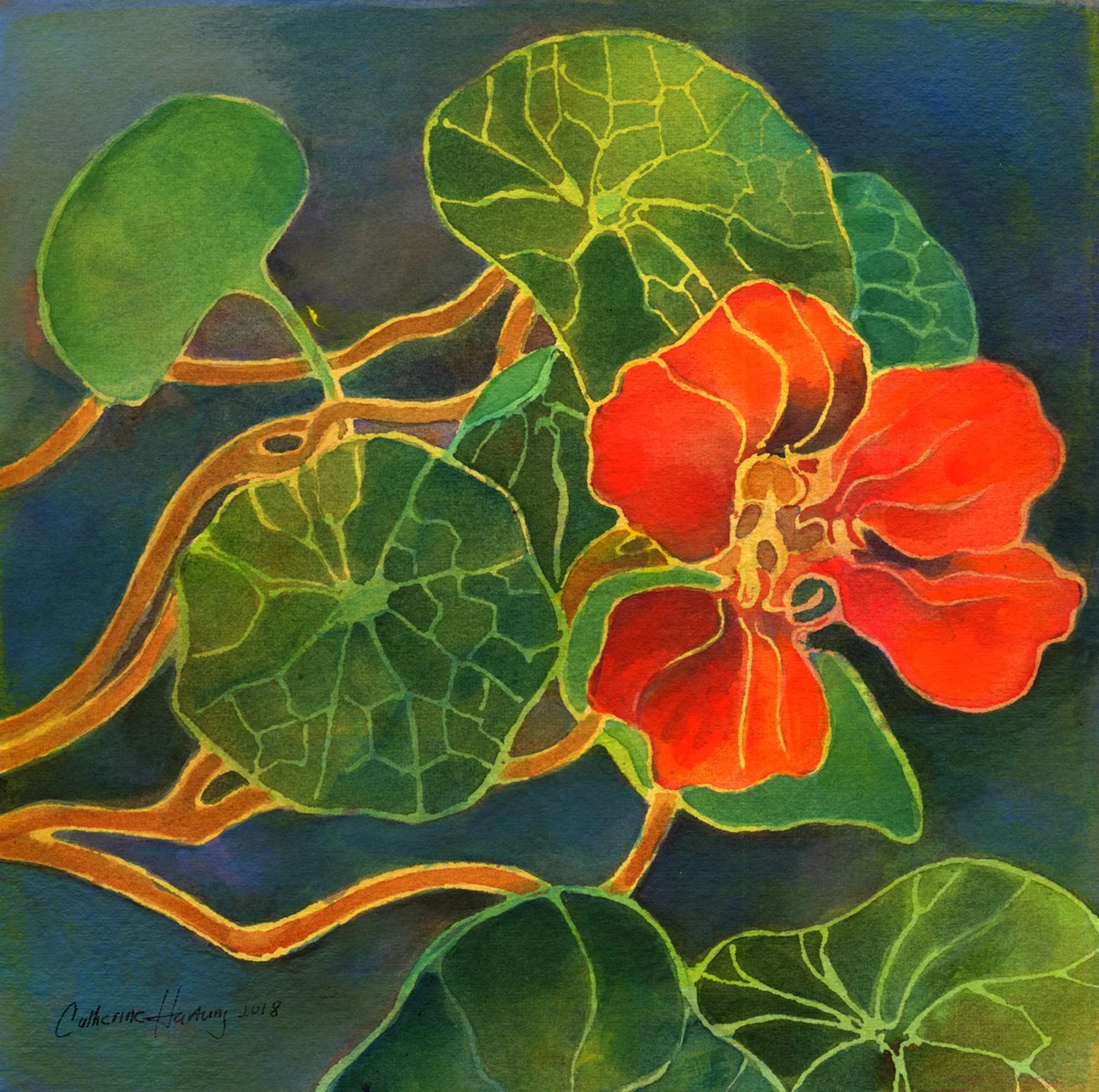 NasturtiamFlower1500px.jpg