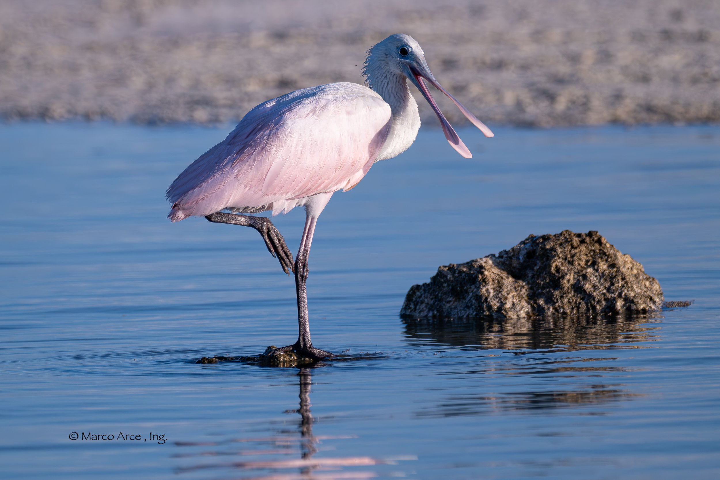 Guided tour Outside Cancun