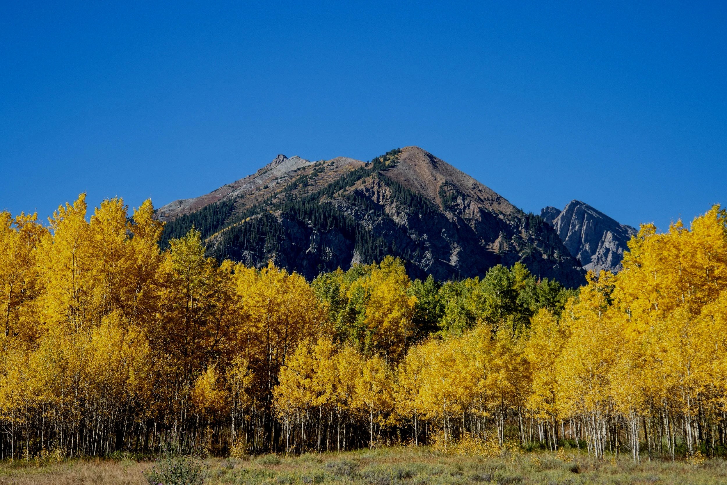 A mountain with a rocky peak surrounded by forests of yellow and green trees, under a clear blue sky.