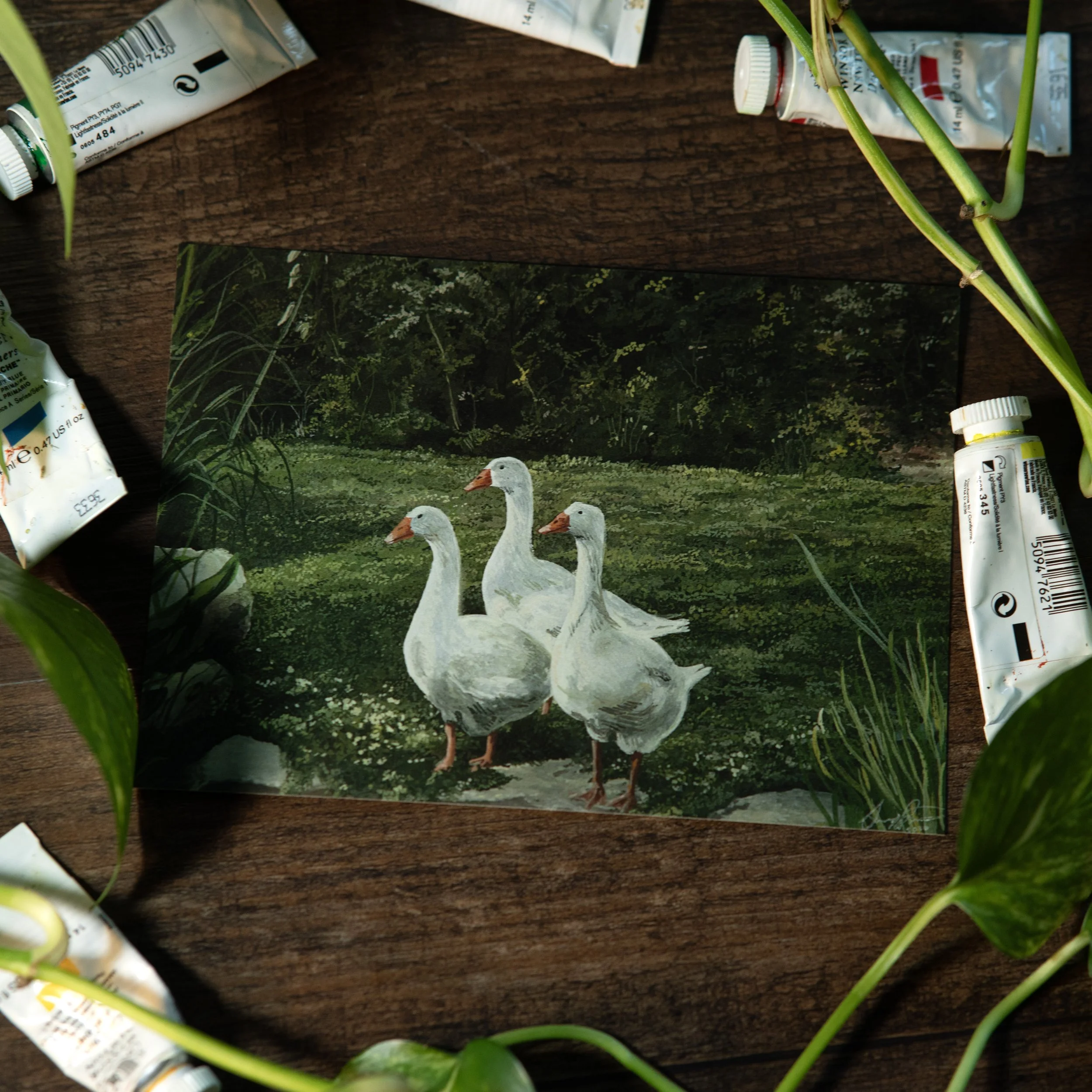 Three Geese #2 Art Print