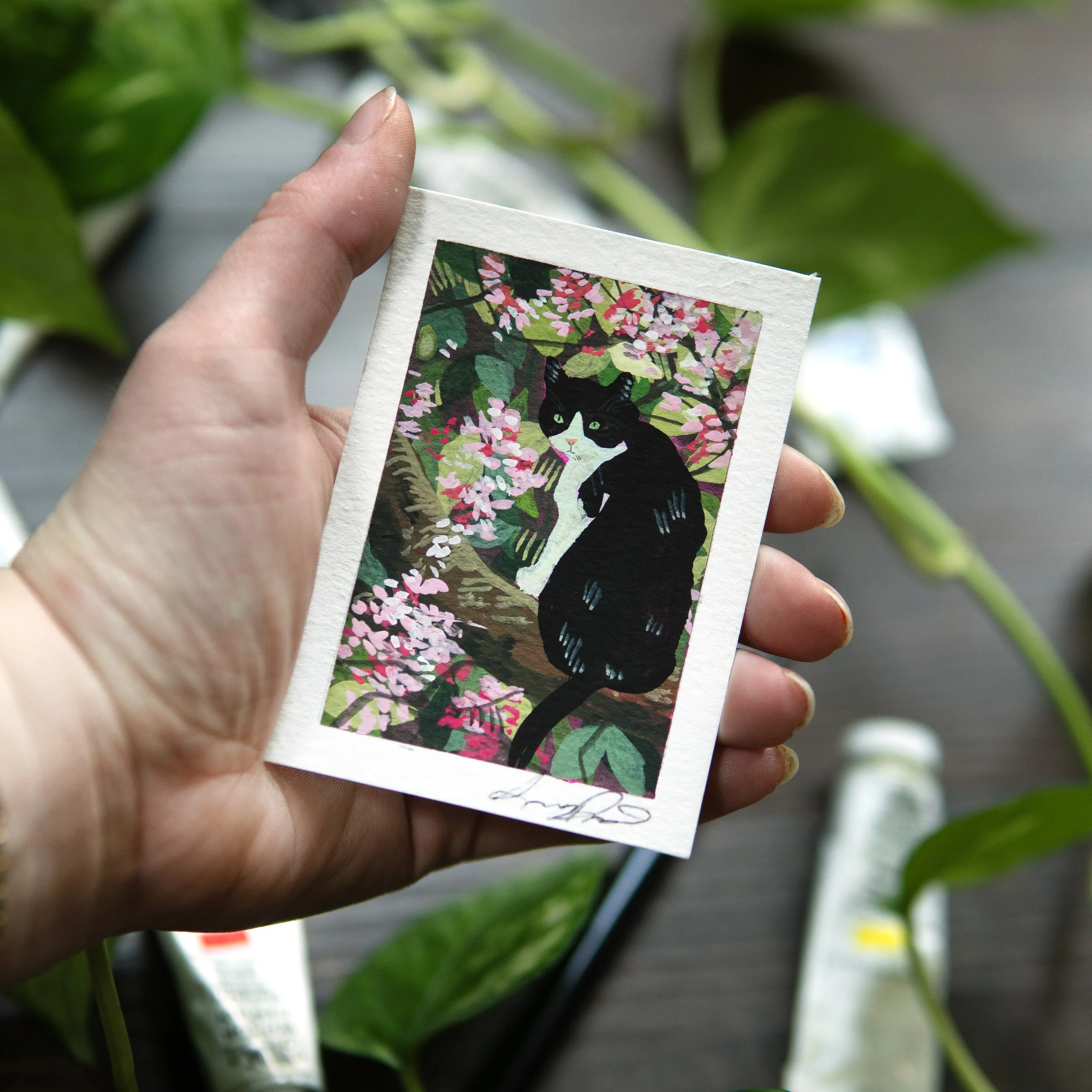 ACEO #6 - Cat Series