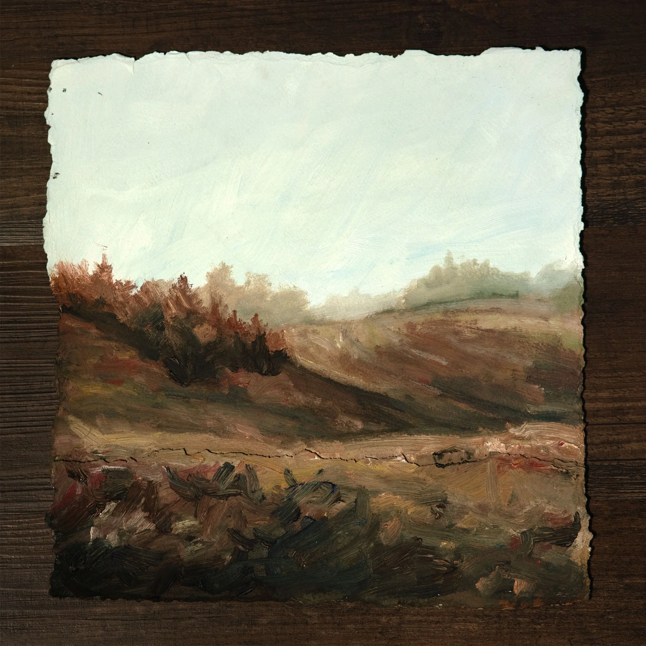 Landscape Oil Painting #17