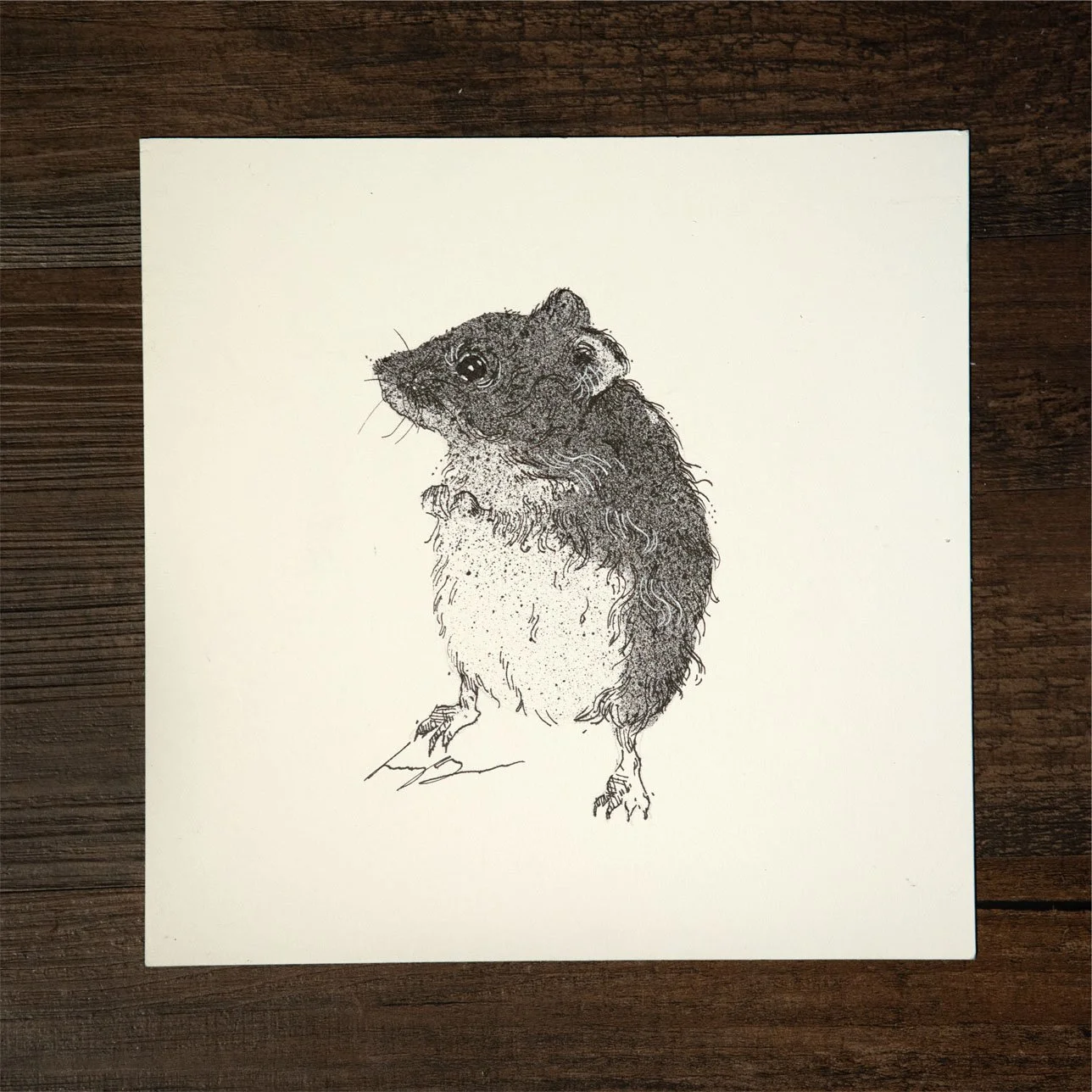 Mouse Ink Original Drawing