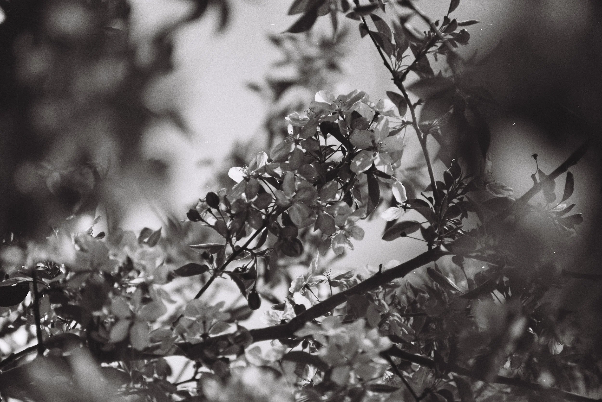 marketing partner for healers