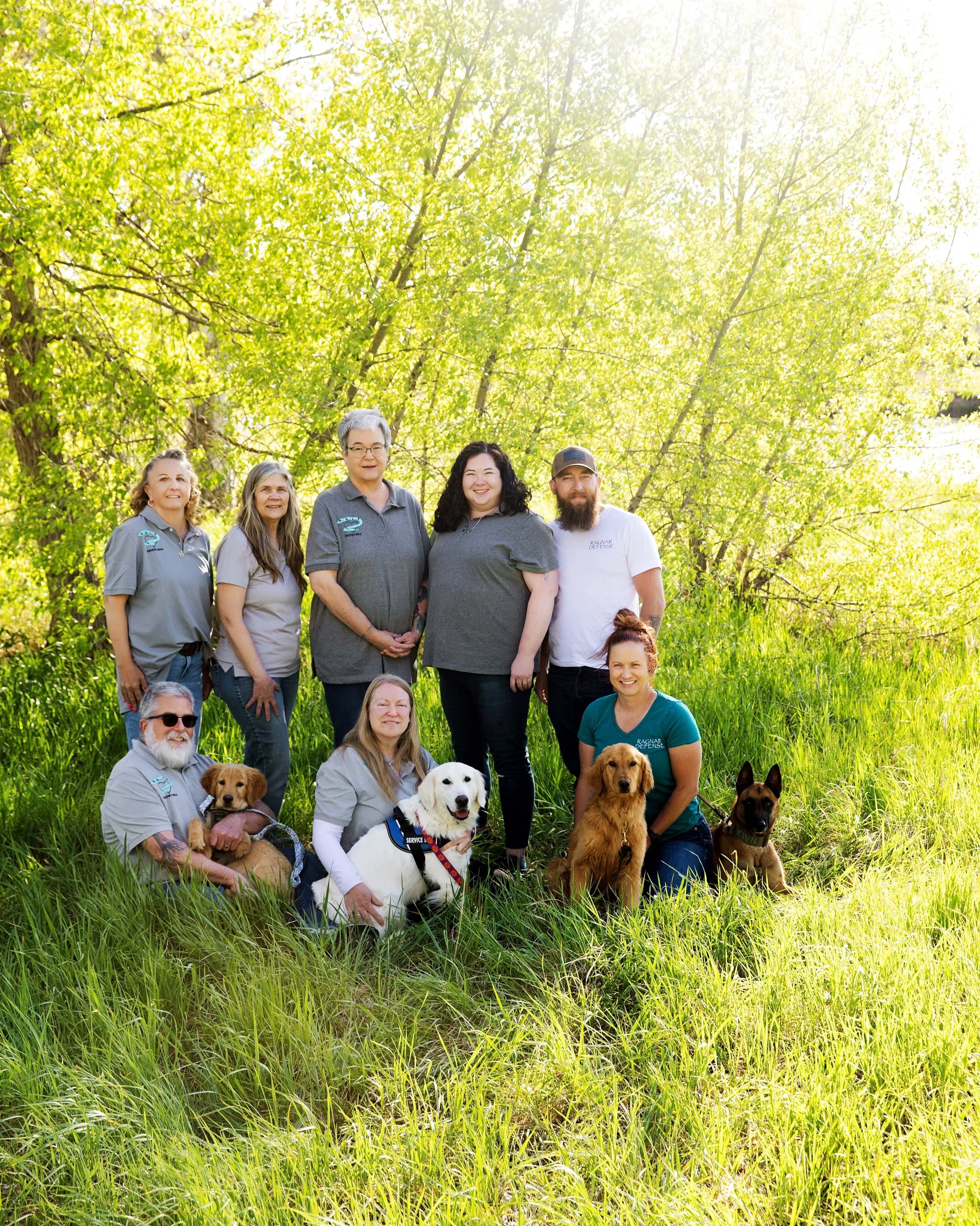 Alliance For Attachment Injured Families Team