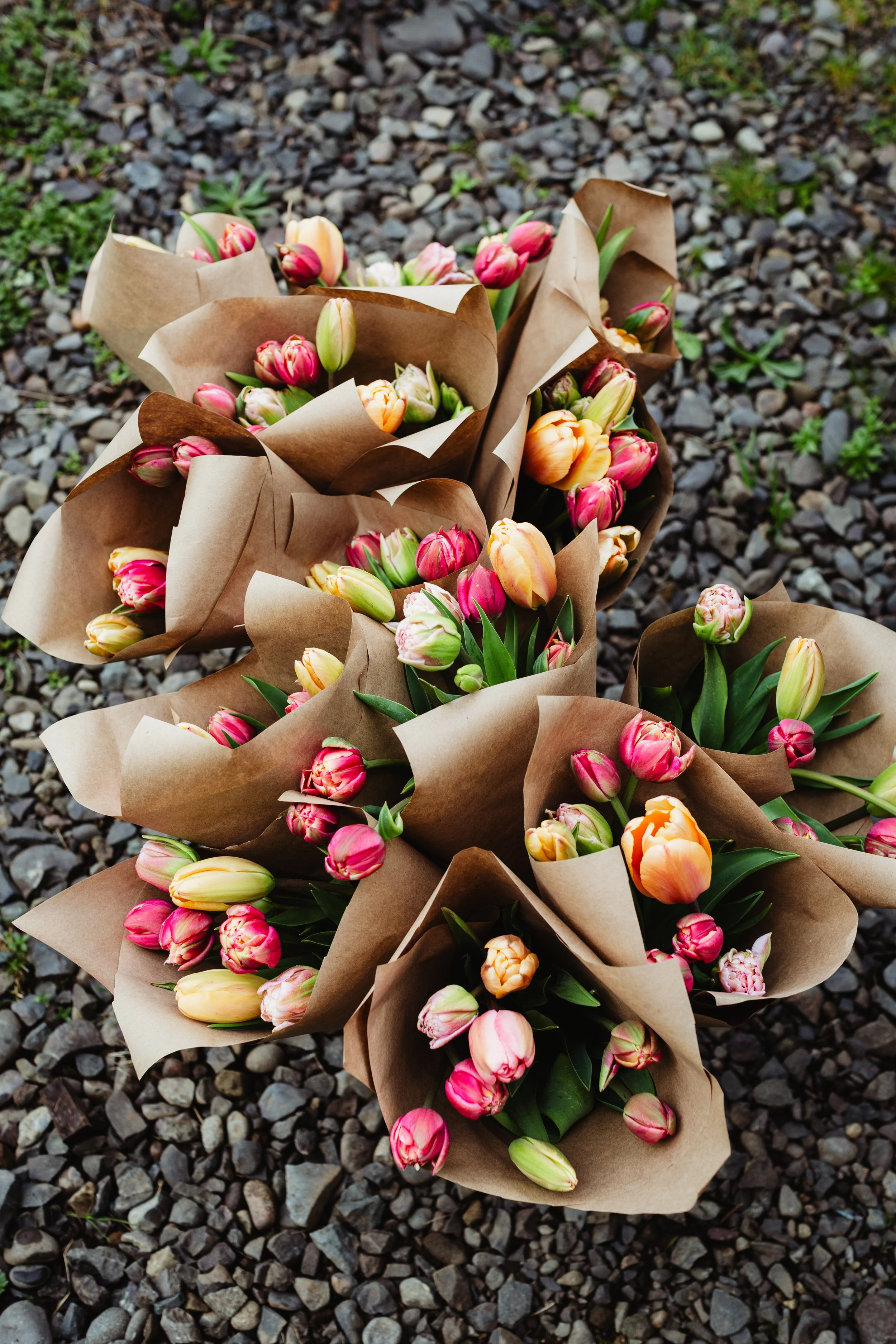 Multiple bouquets of pink, peach, and white tulips wrapped in brown paper are placed on dark gravel ground.