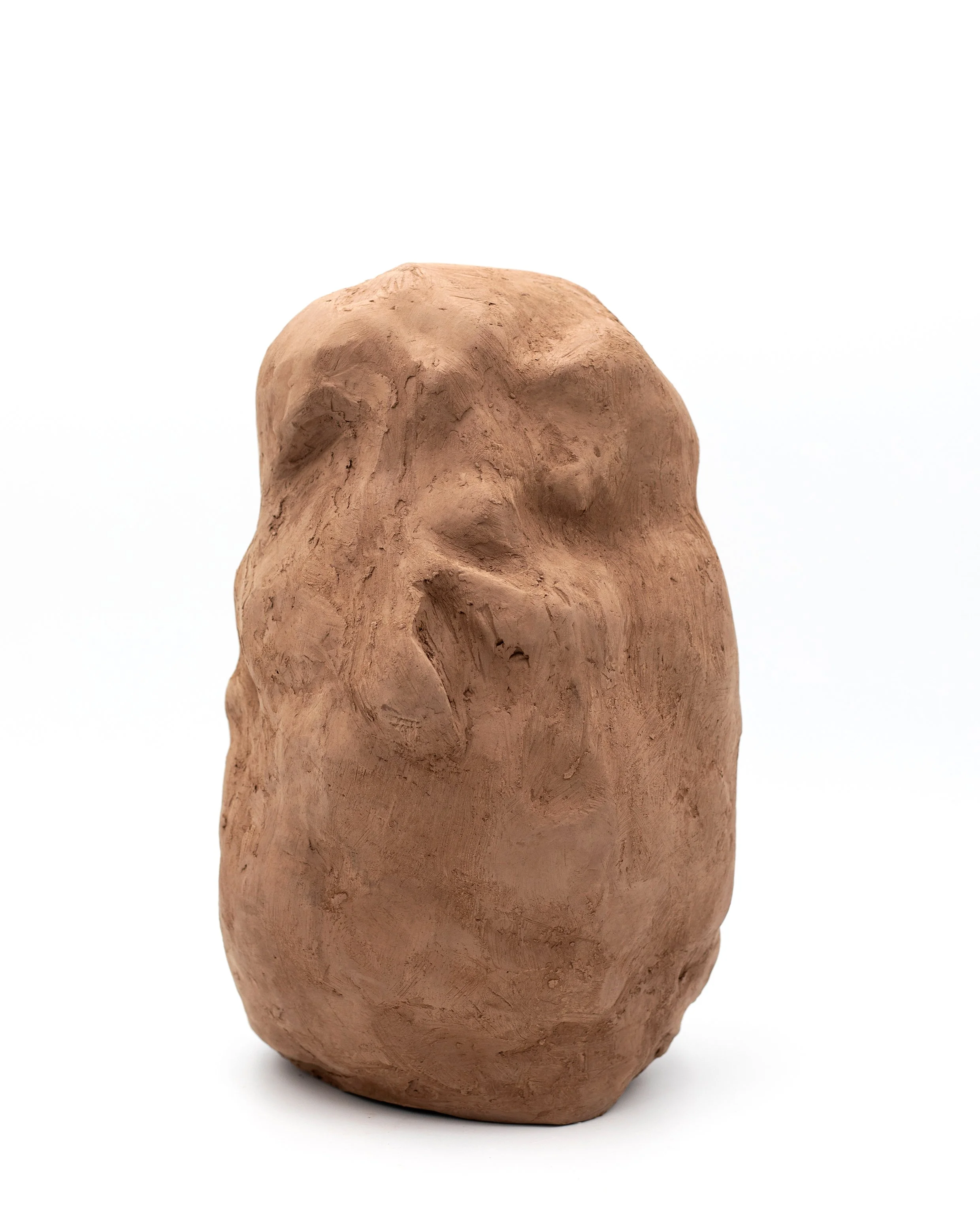 lost home _ ritu arya _ 1.jpg