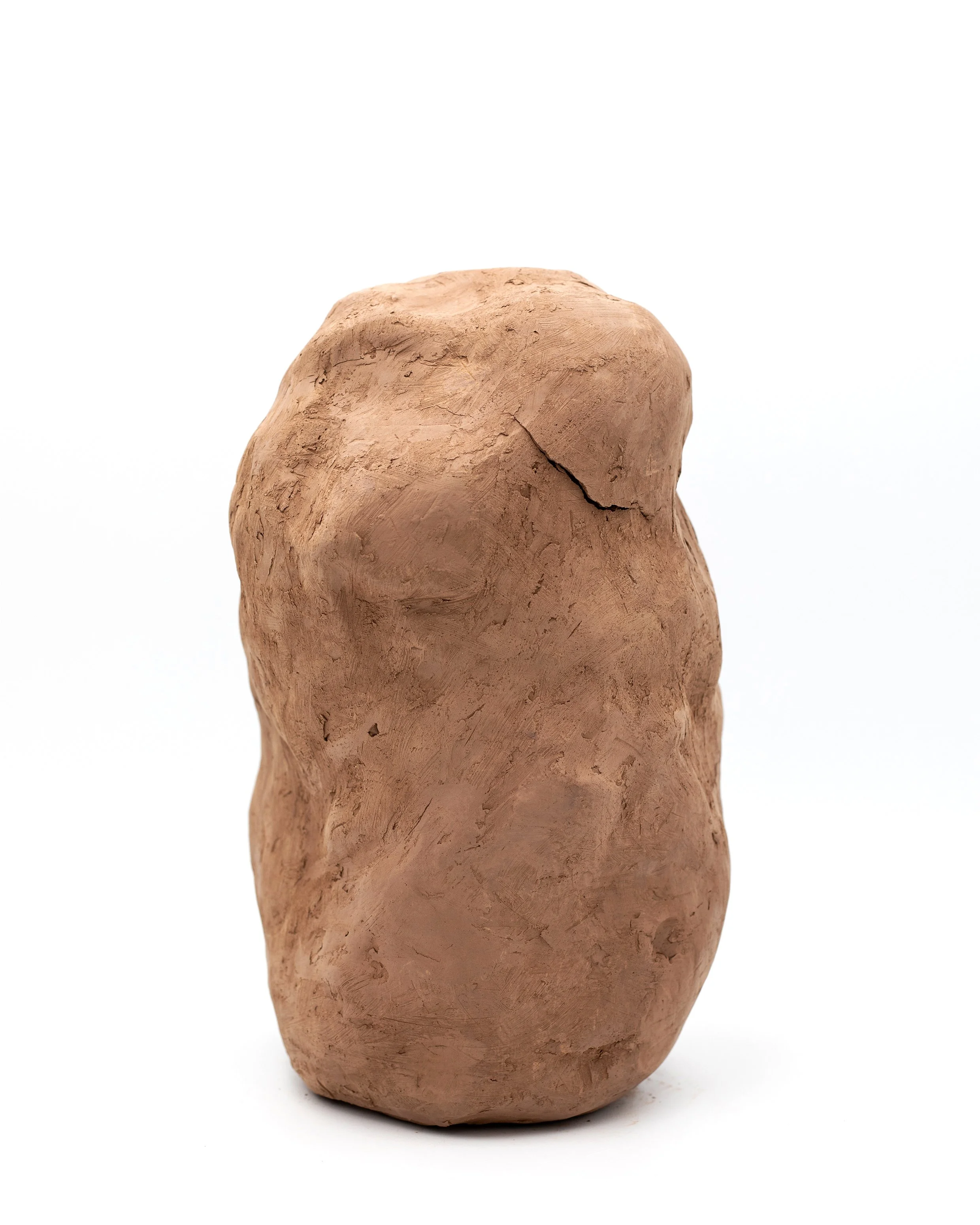 lost home _ ritu arya _ 3.jpg