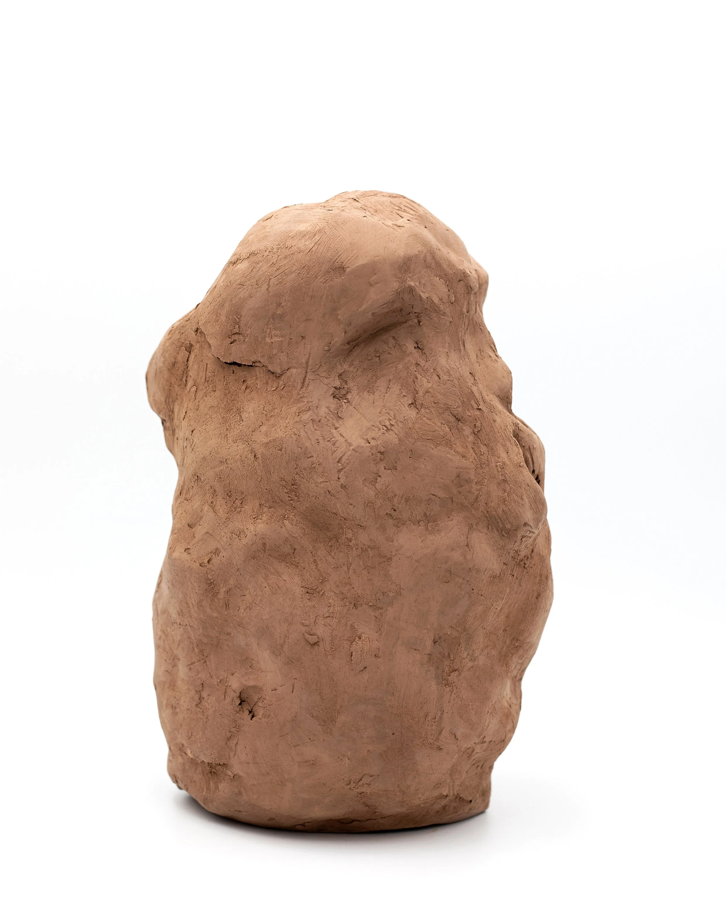 lost home _ ritu arya _ 4.jpg