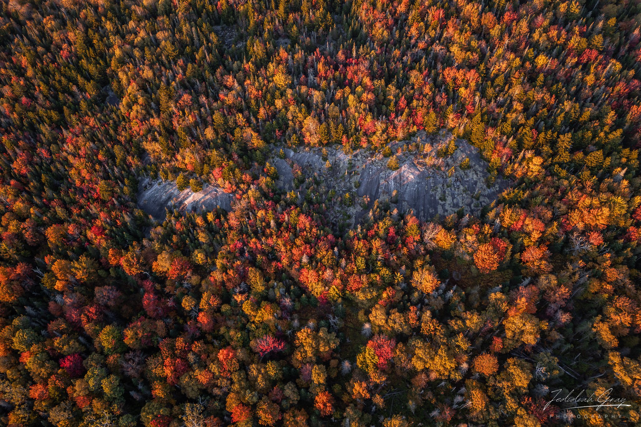jedidiah-gray_vermont-forest-fall_01.jpg
